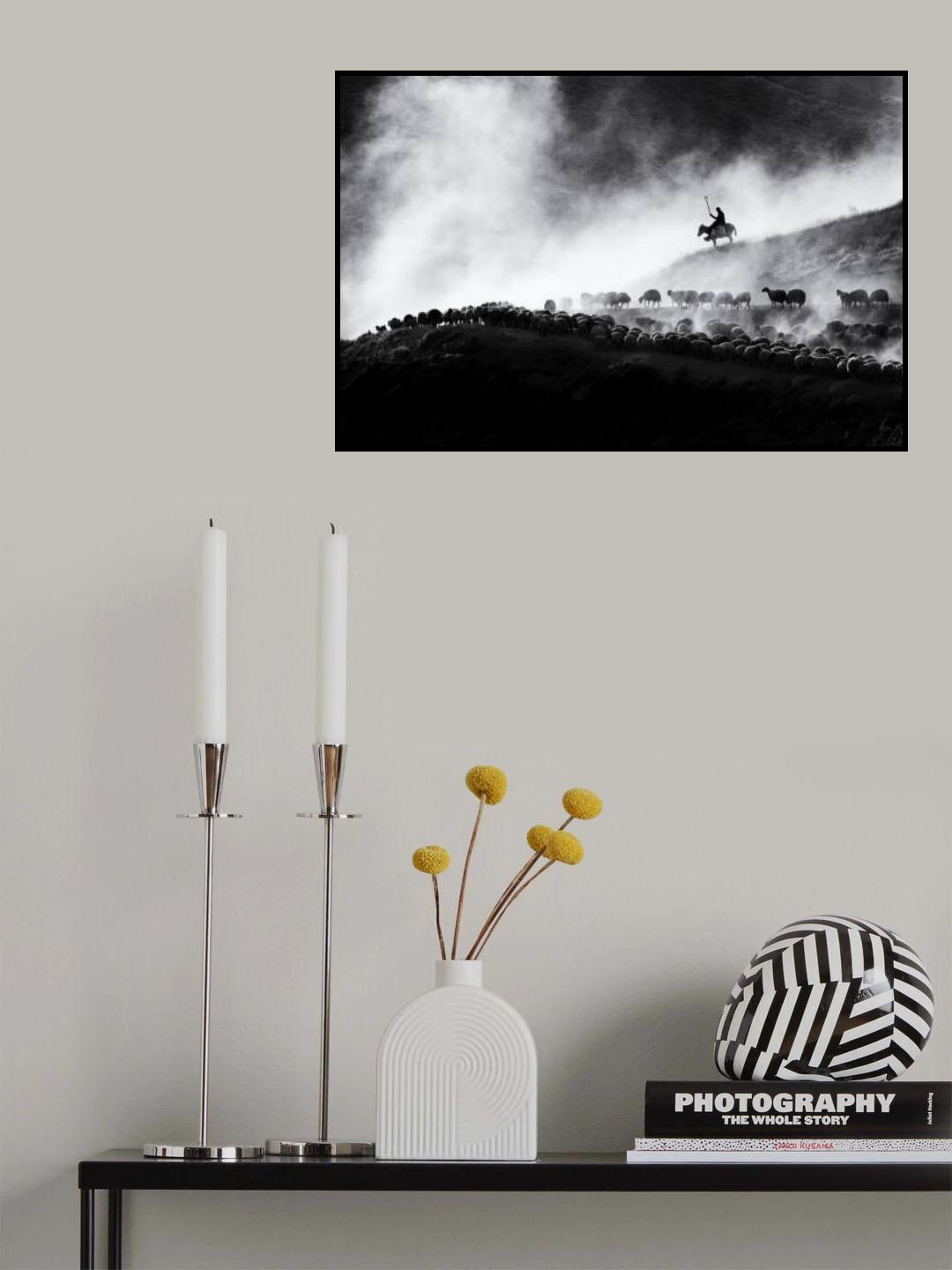flock of sheep Poster och Canvastavla