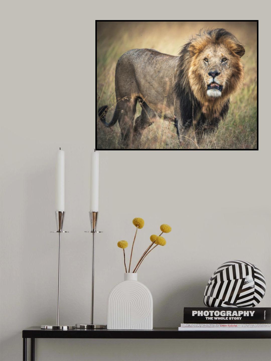 Masai King Poster och Canvastavla