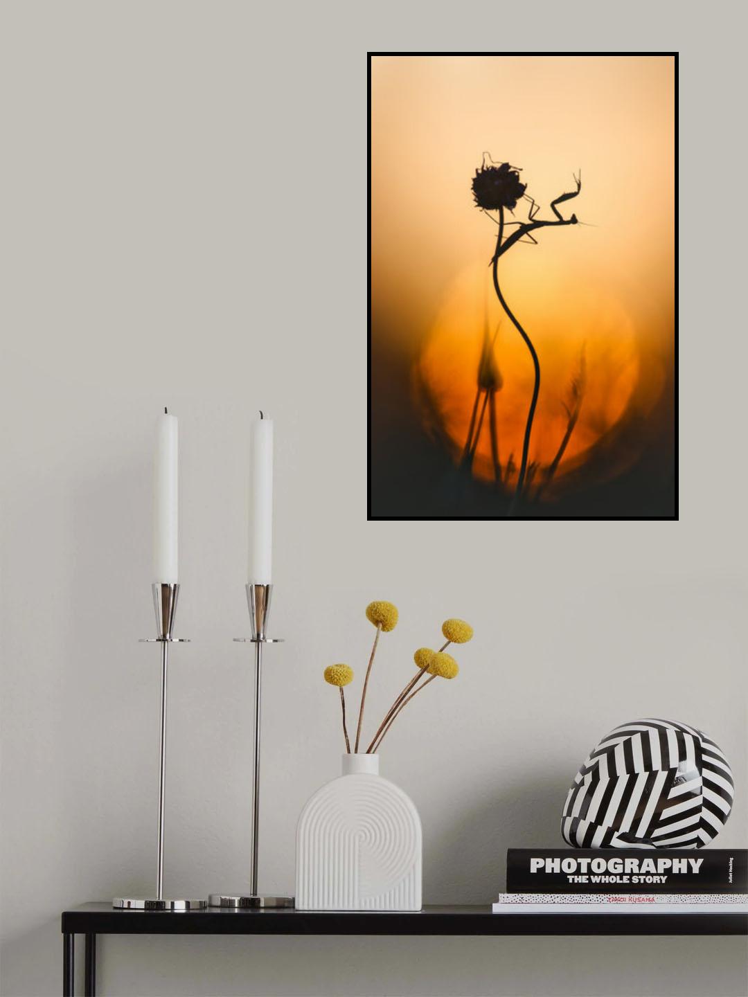 Silhouette Poster och Canvastavla