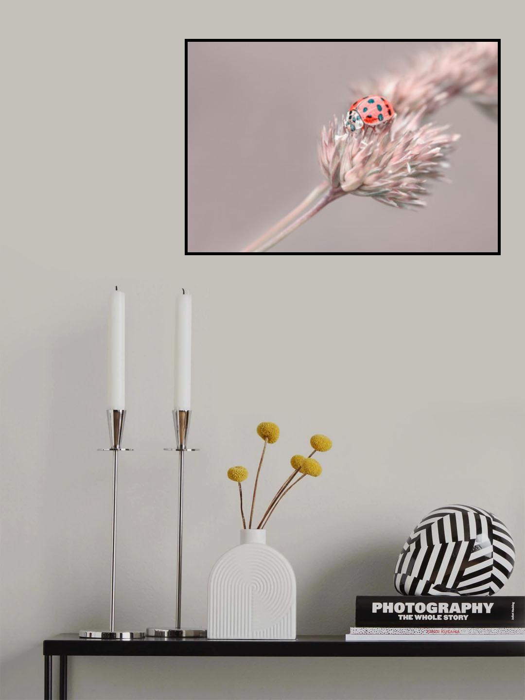 Poster och Canvastavla