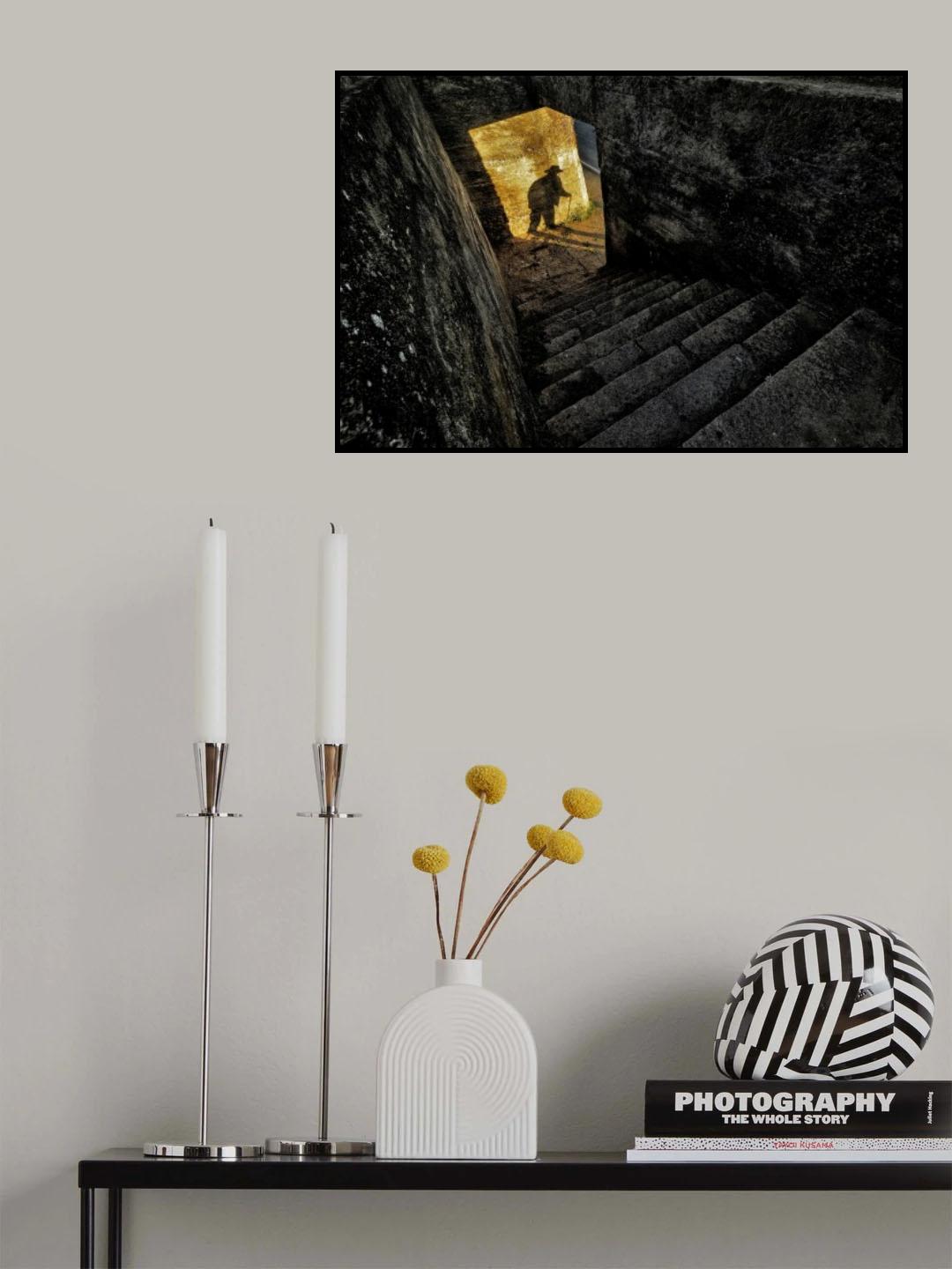 Life Descent Poster och Canvastavla
