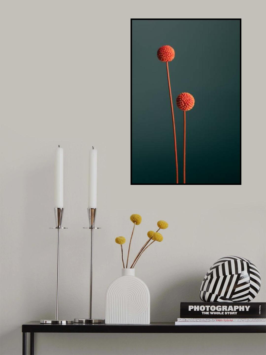 Orange Seed Capsules Poster och Canvastavla