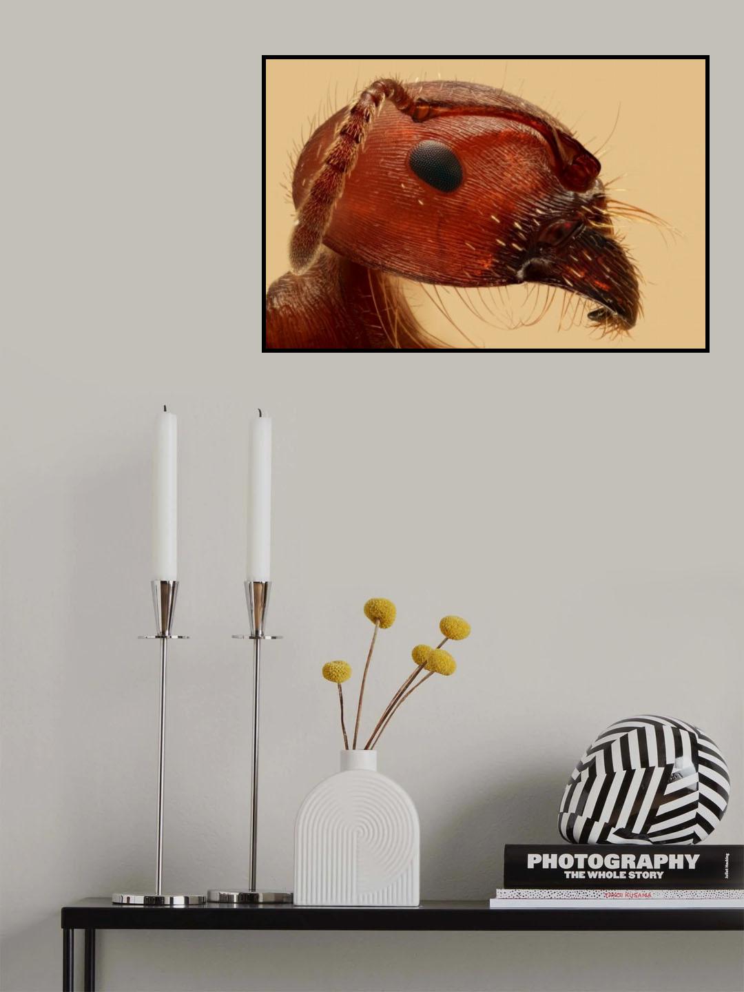 Red Ant Portrait Poster och Canvastavla
