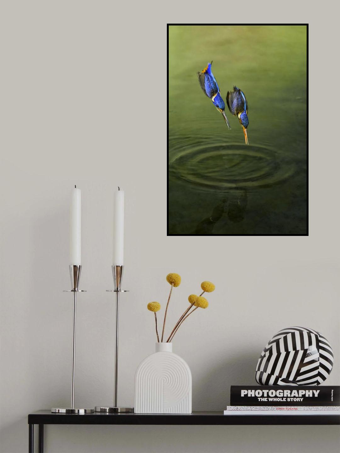 Race for fish Poster och Canvastavla