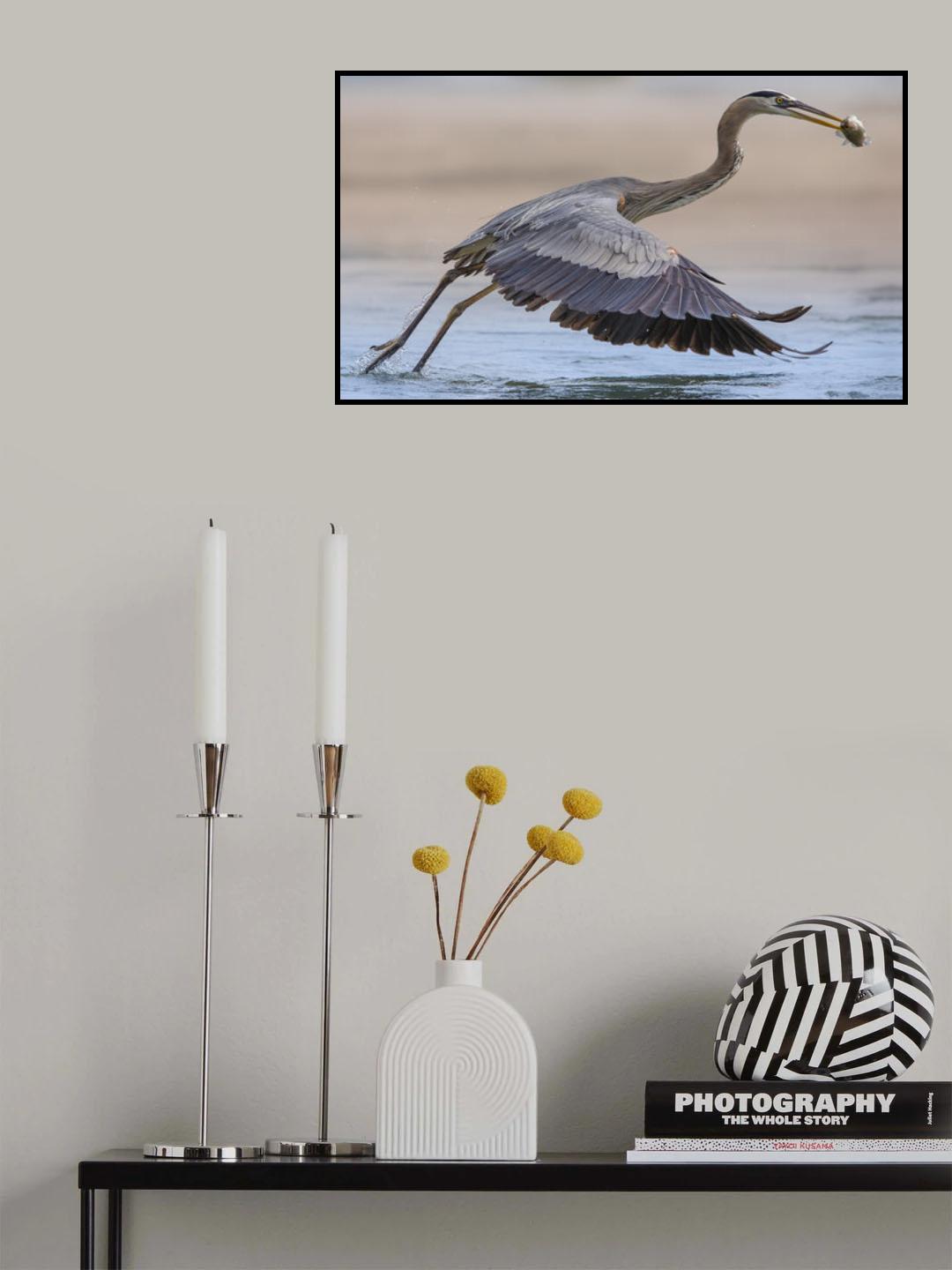 Poster och Canvastavla