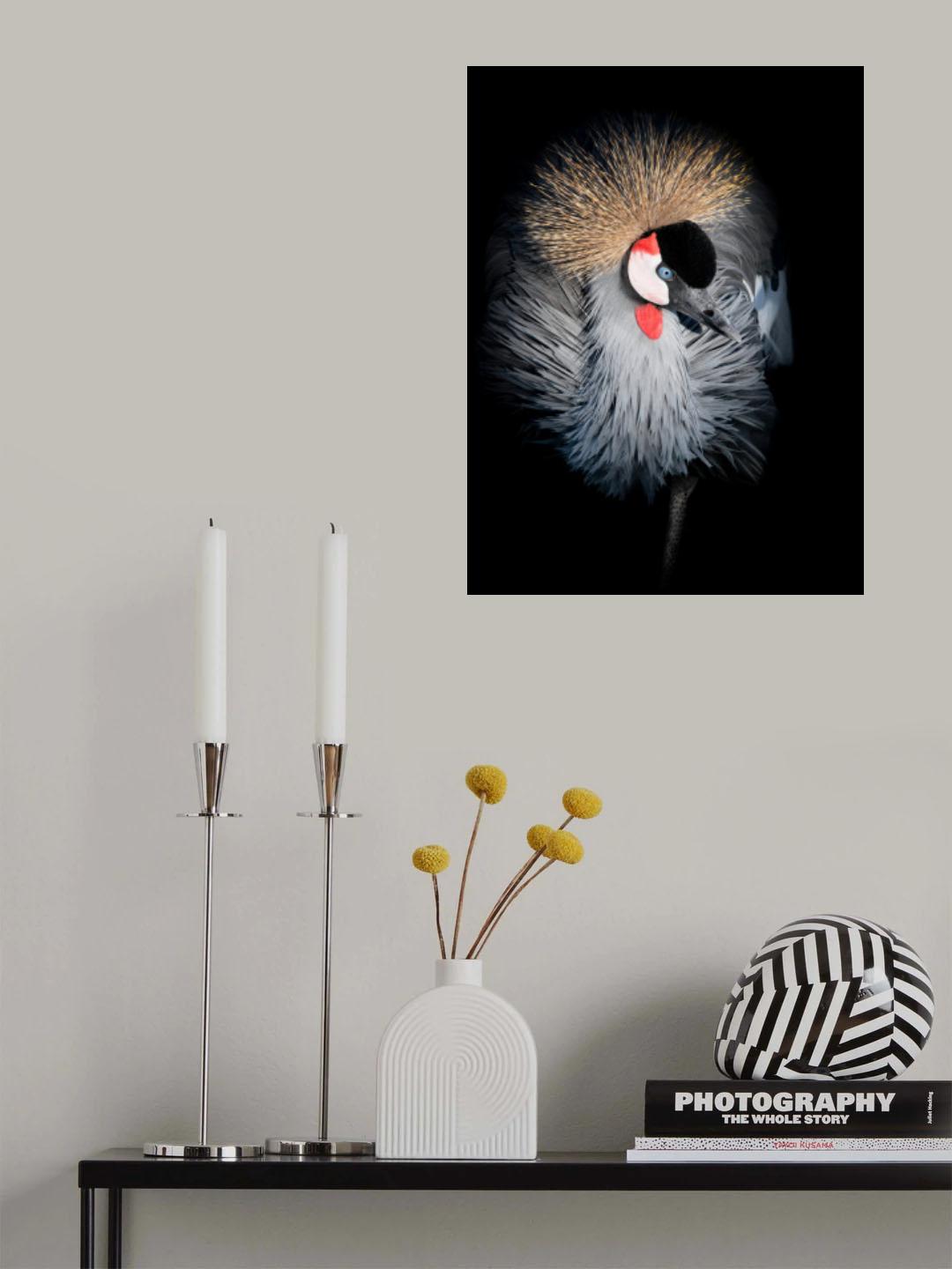 Grey Crowned Crane Portrait Poster och Canvastavla