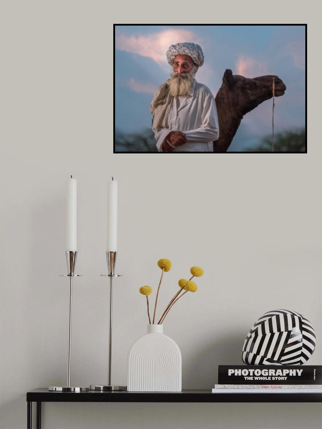 Shepherd at sunset Poster och Canvastavla