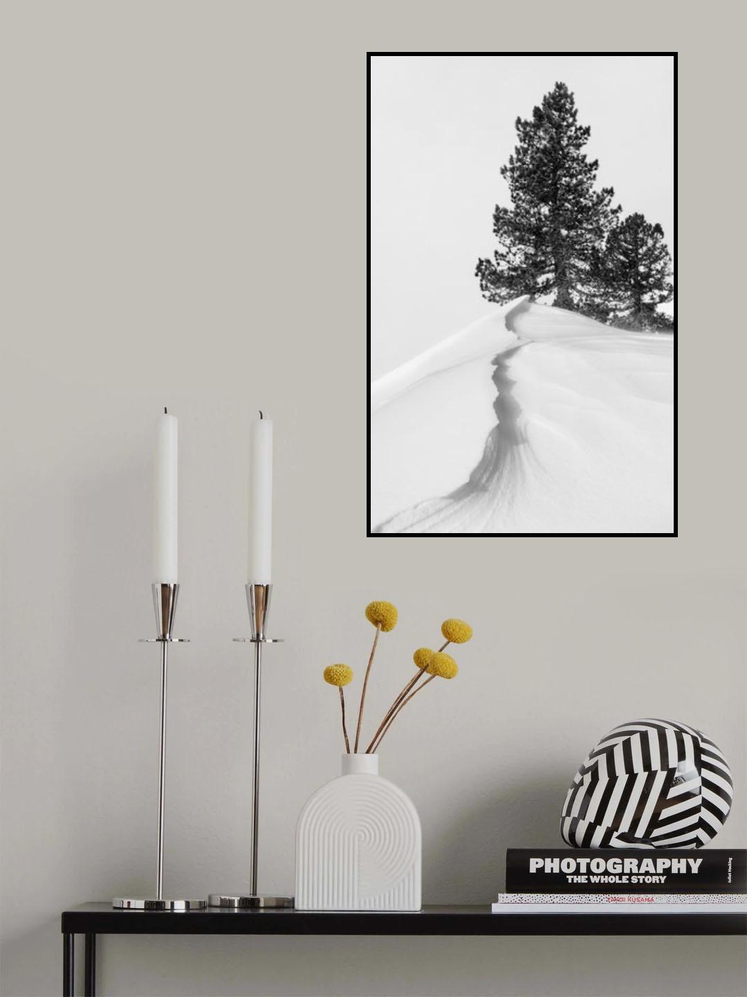 About the snow and forms Poster och Canvastavla