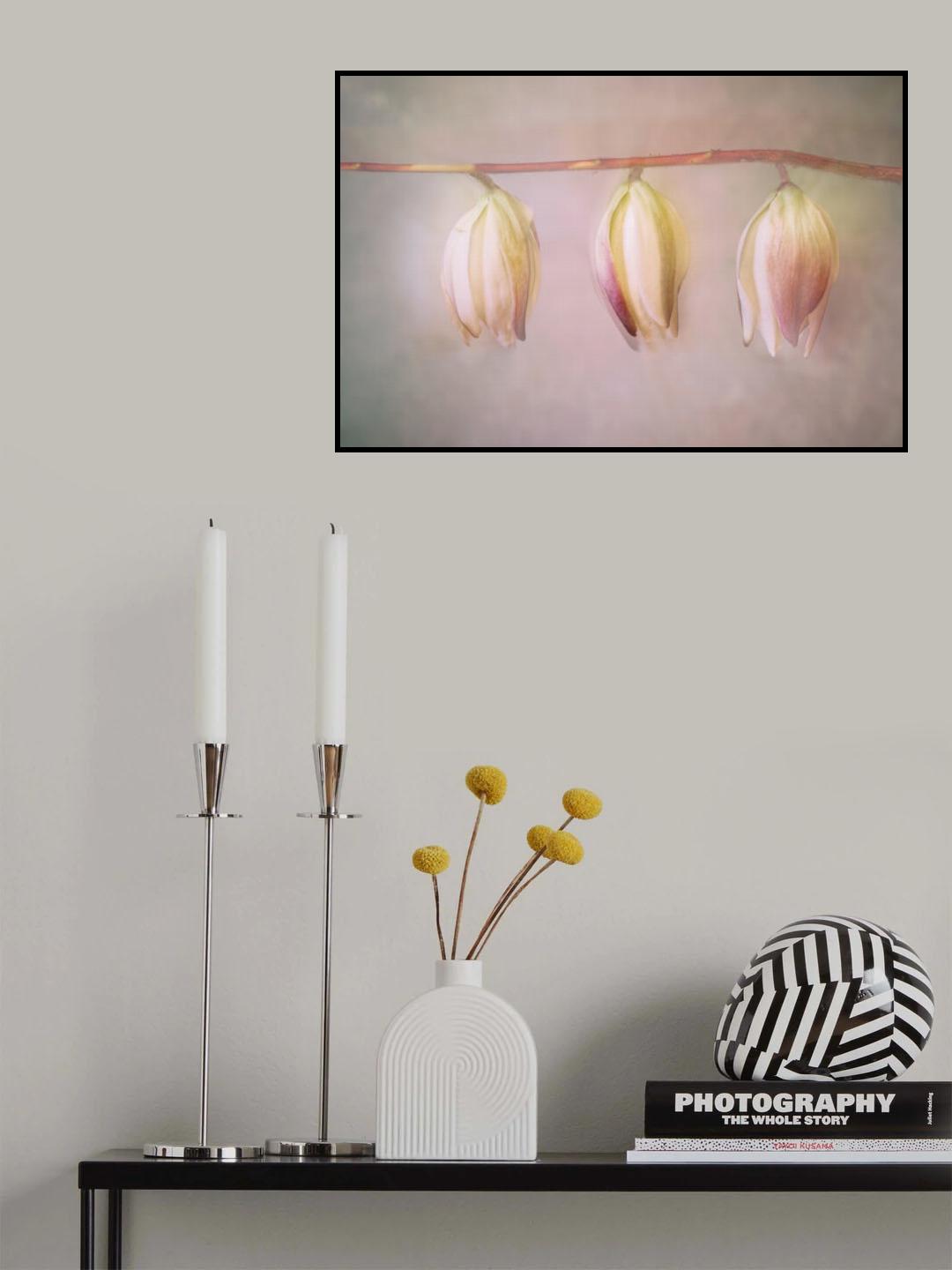 Yucca-flowers Poster och Canvastavla