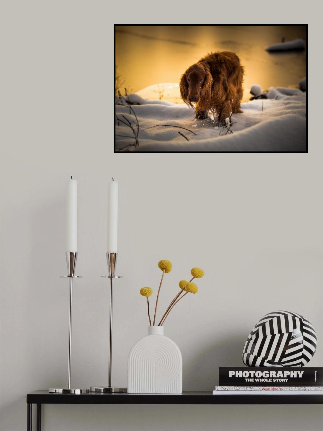 Gold, silver and bronze. Poster och Canvastavla