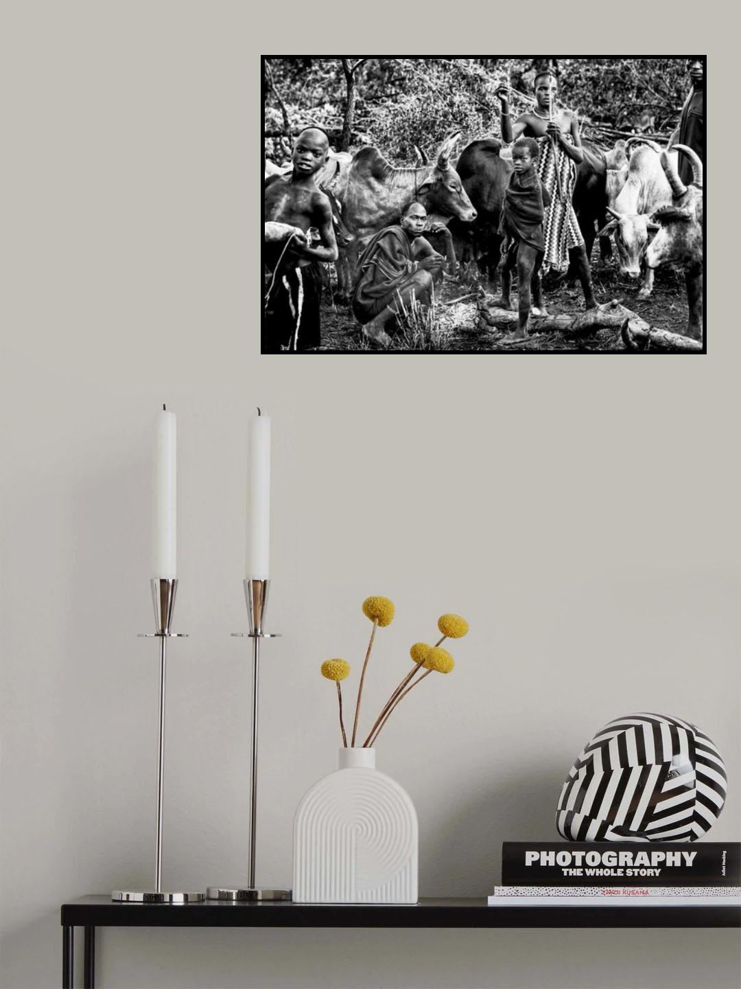 Surma tribe people taking care of the cattle. Poster och Canvastavla