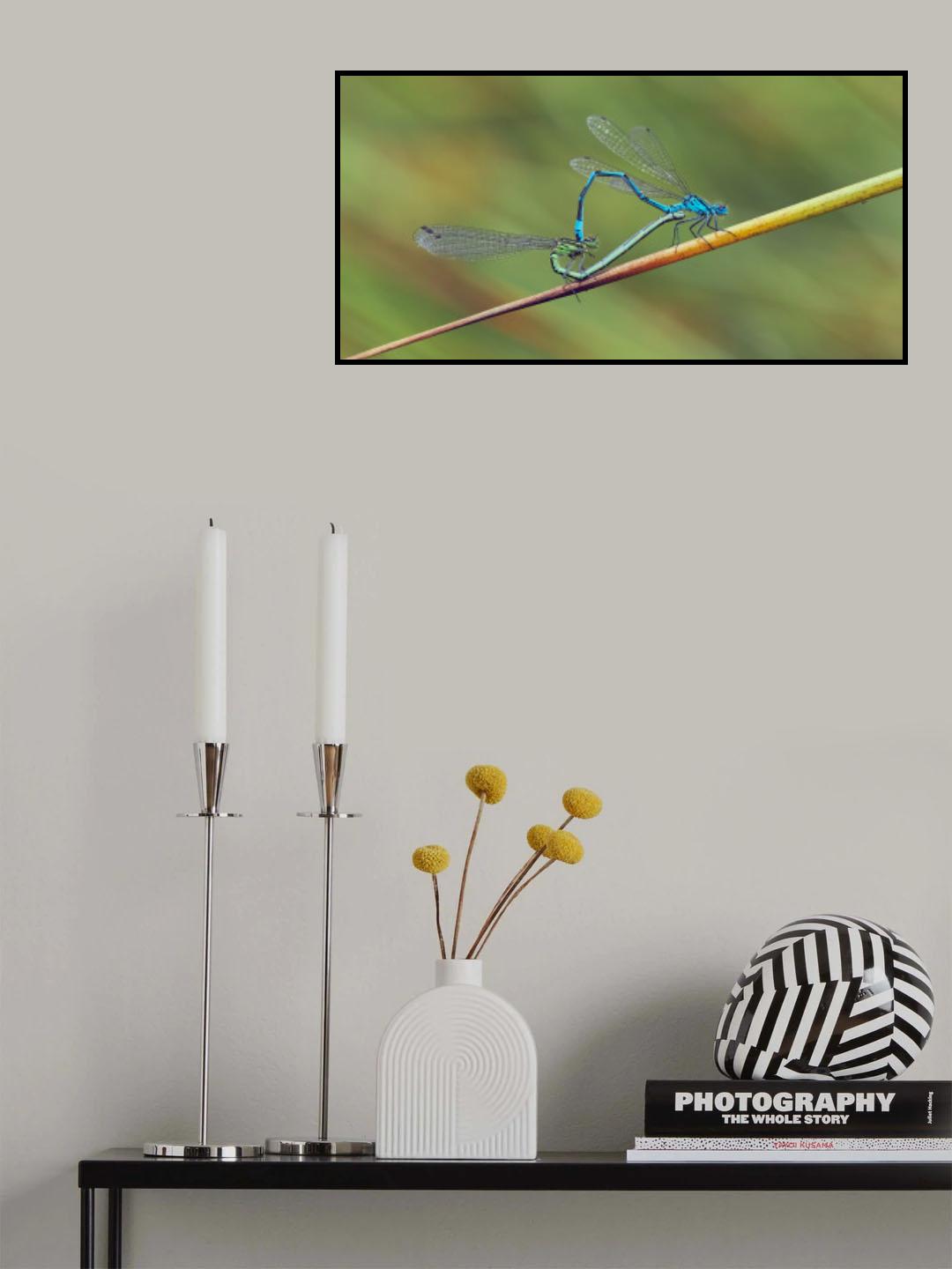 The Encounter Poster och Canvastavla