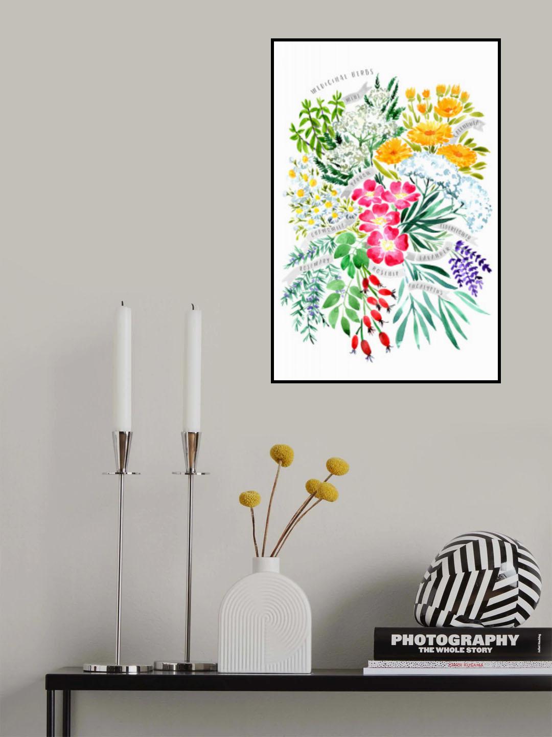 MEDICINAL HERBS Poster och Canvastavla