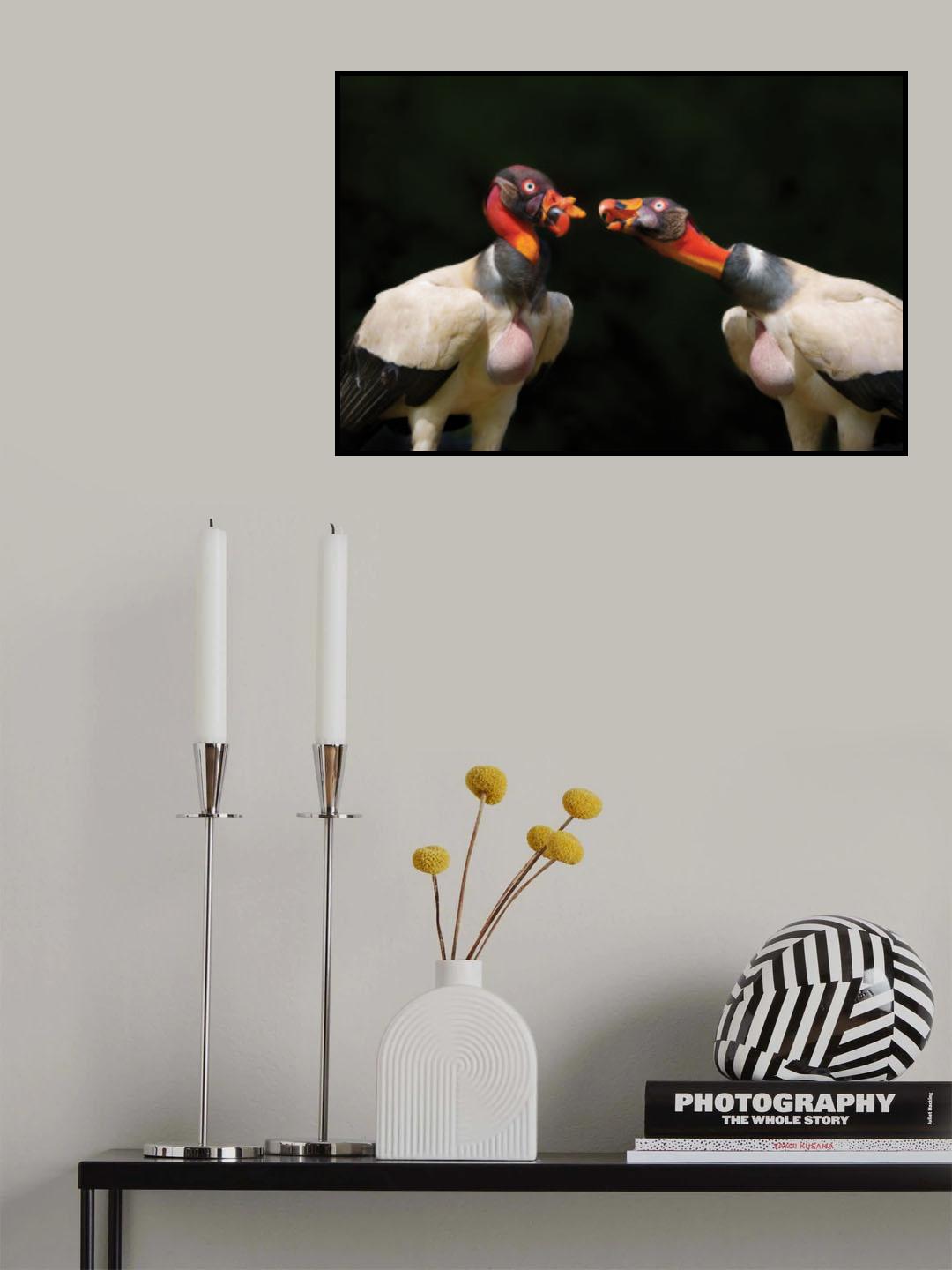 King vulture's dialogue Poster och Canvastavla