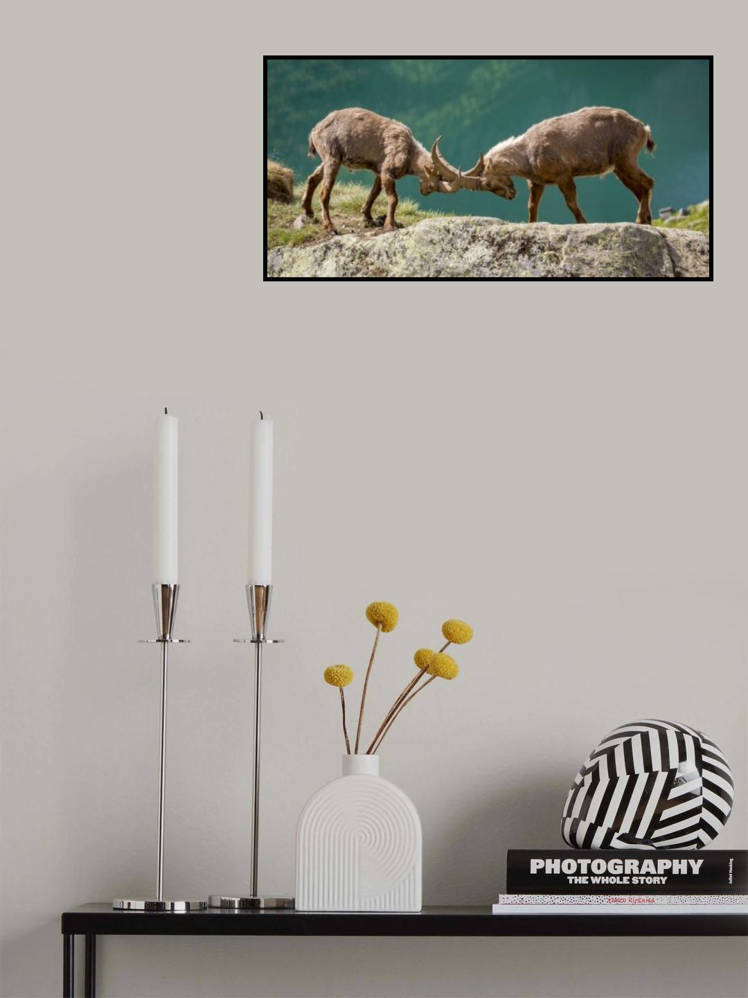 Rock Rut Poster och Canvastavla