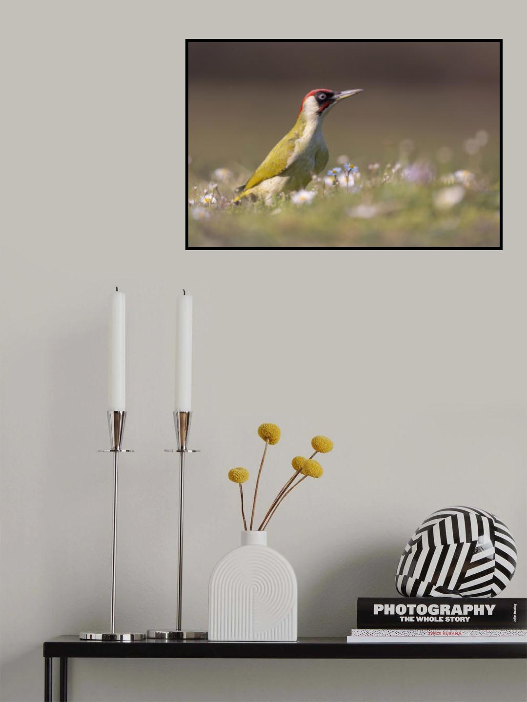 Walking in the flowers Poster och Canvastavla