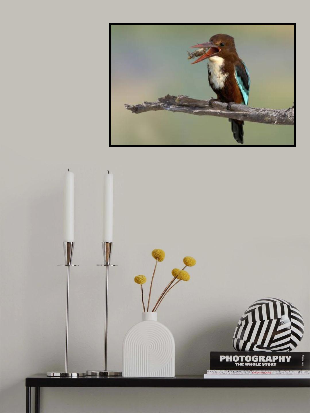 like crabs Poster och Canvastavla