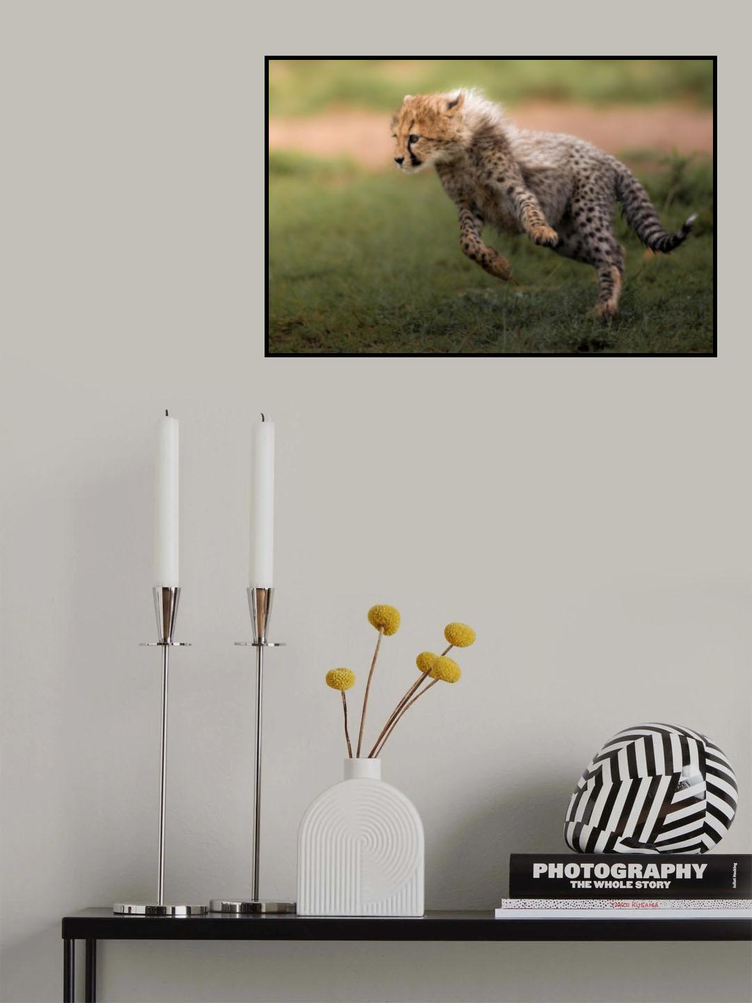 Spring Poster och Canvastavla