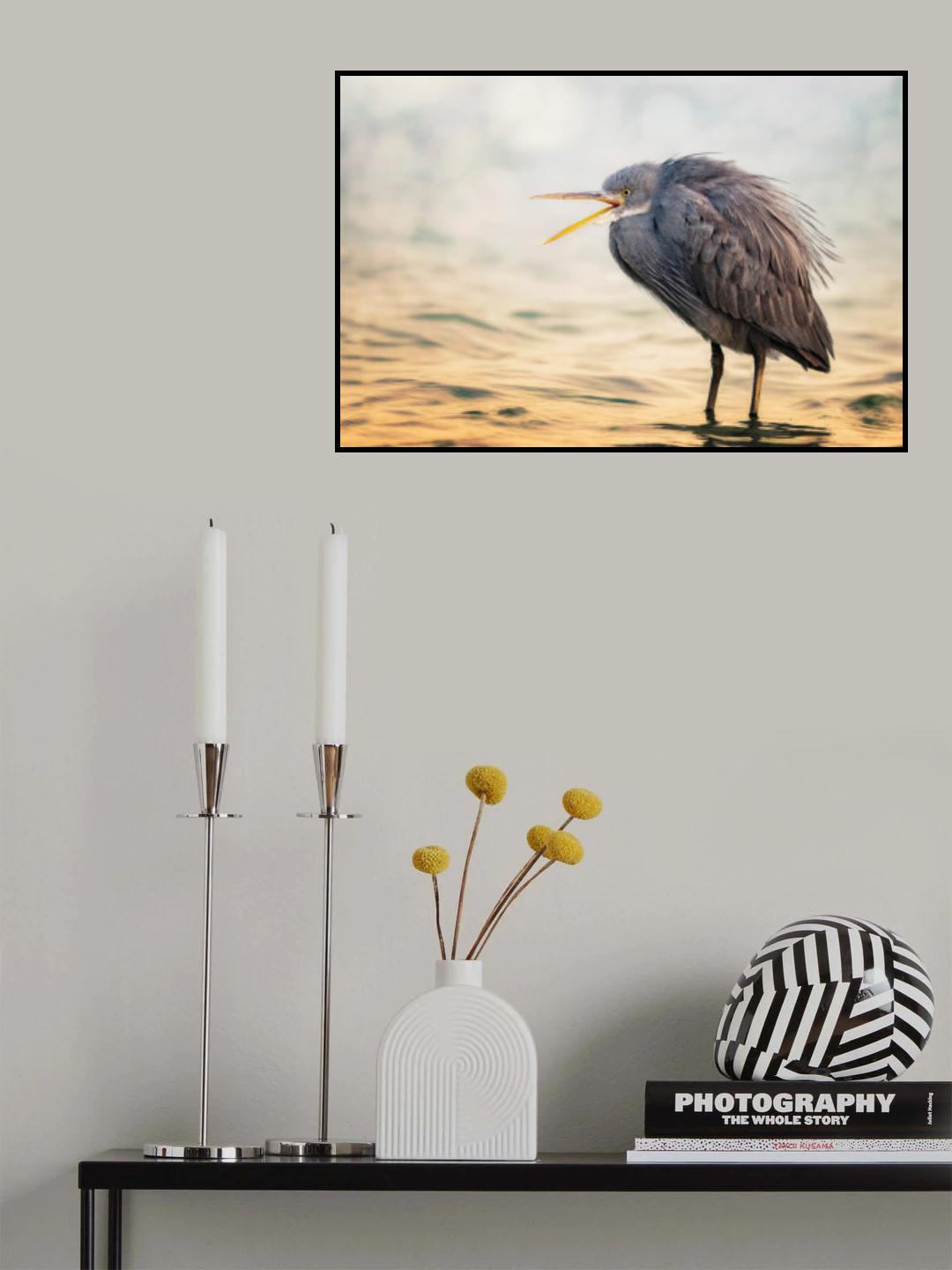 Reef Heron Poster och Canvastavla