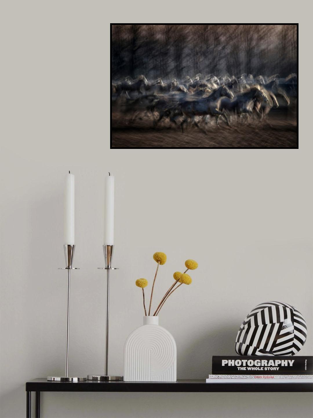 Stampedo Poster och Canvastavla