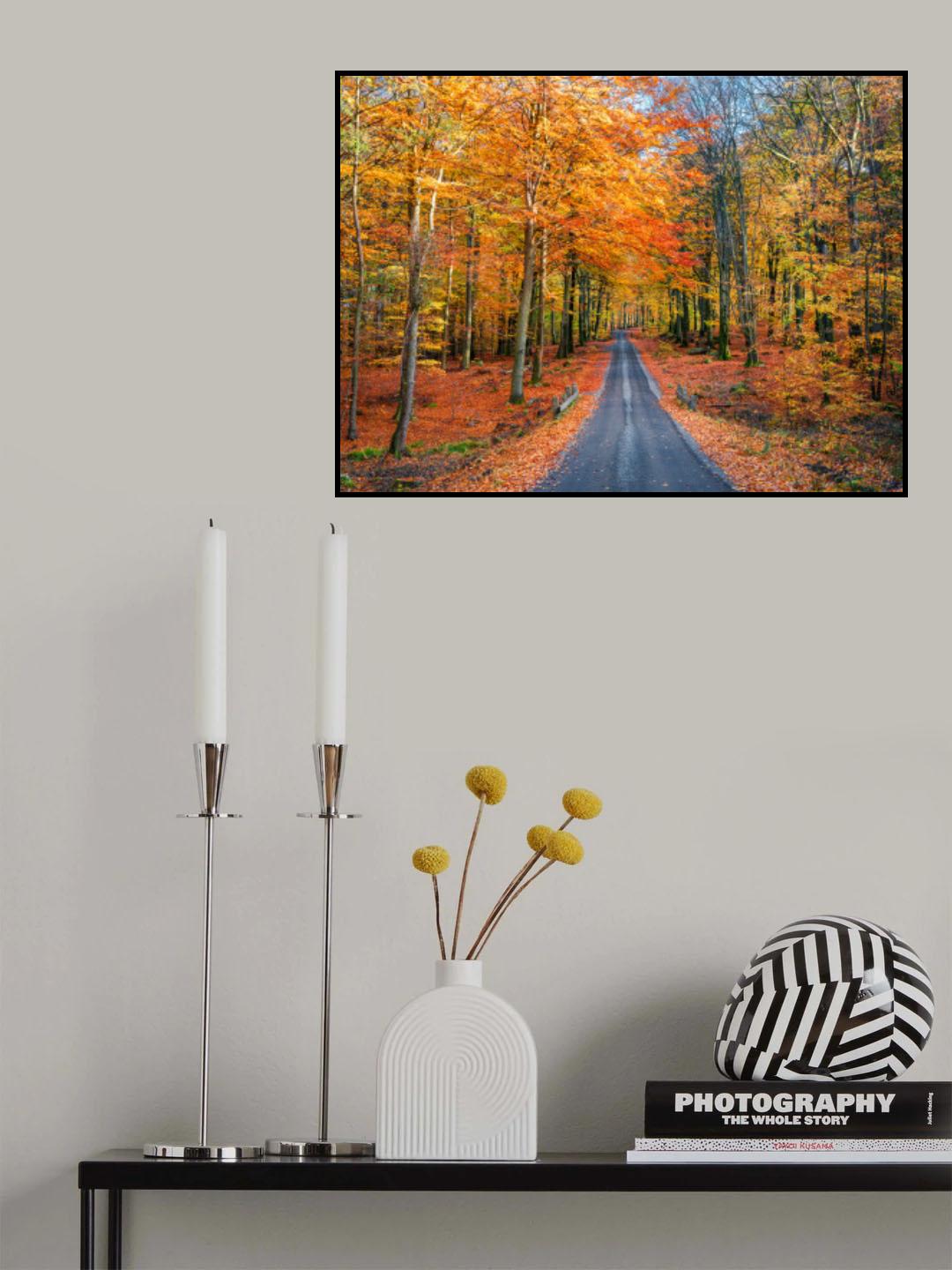 Road into autumn Poster och Canvastavla