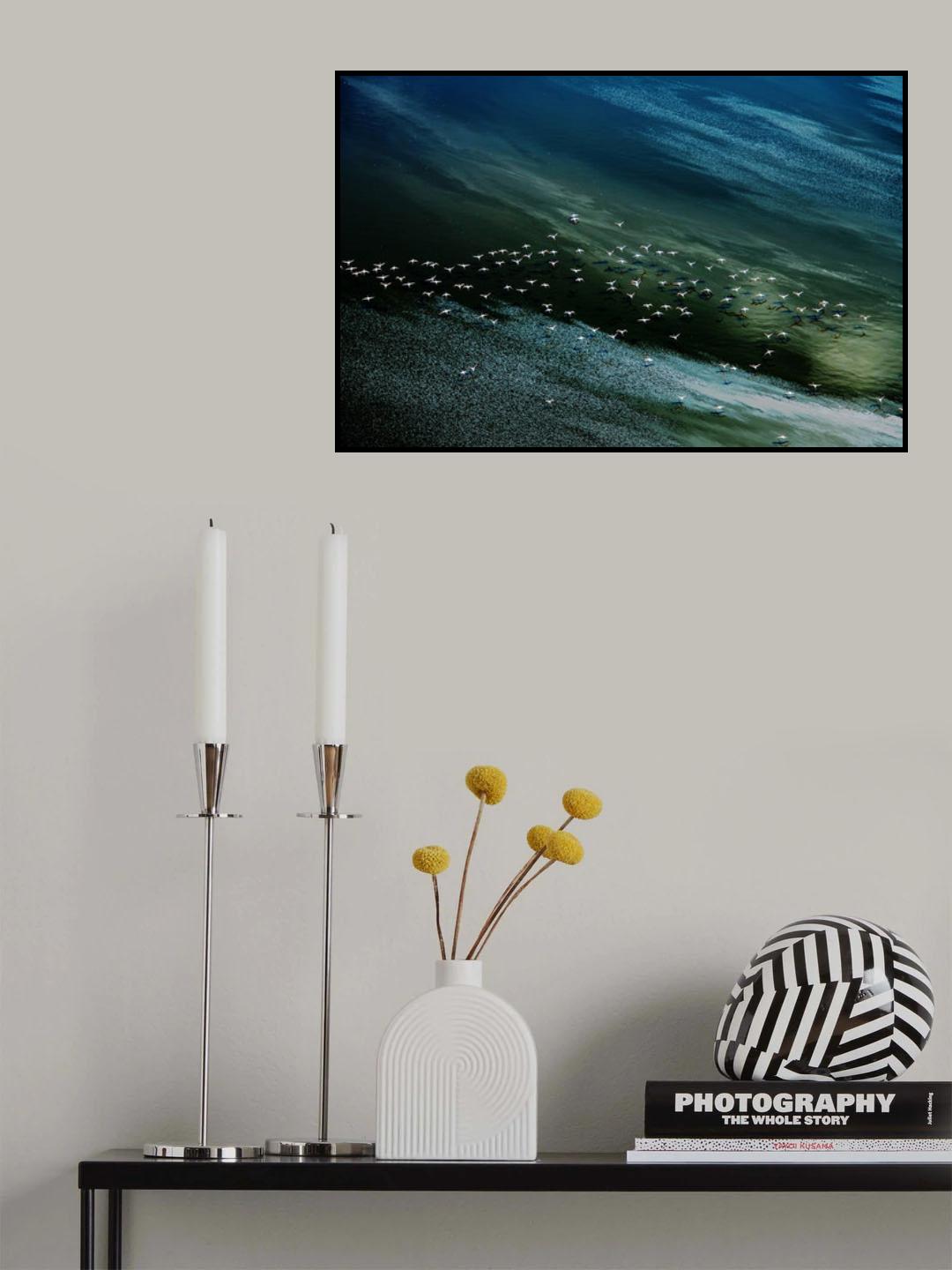 white birds, blue and green water Poster och Canvastavla