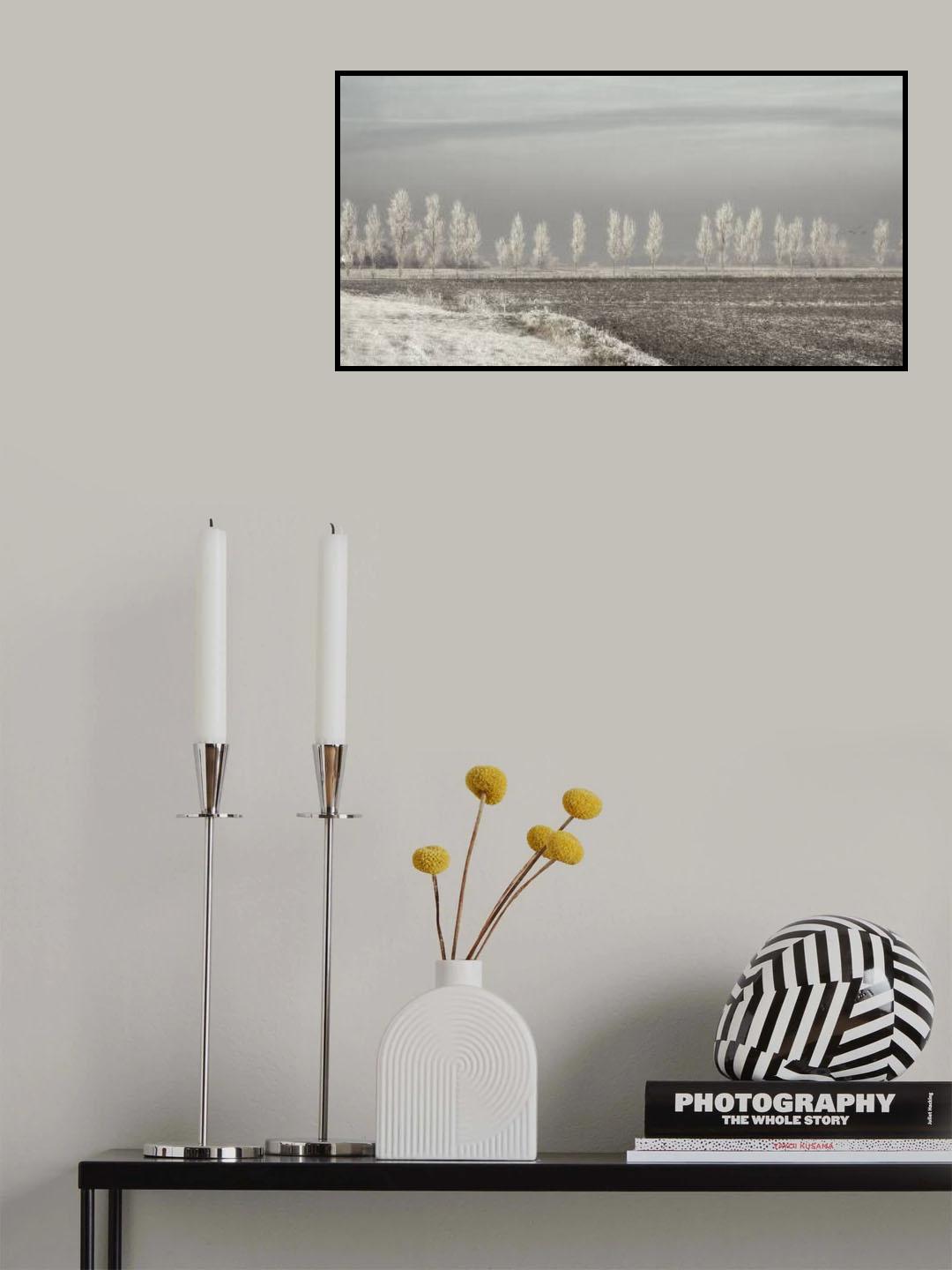Winter Solstice Poster och Canvastavla