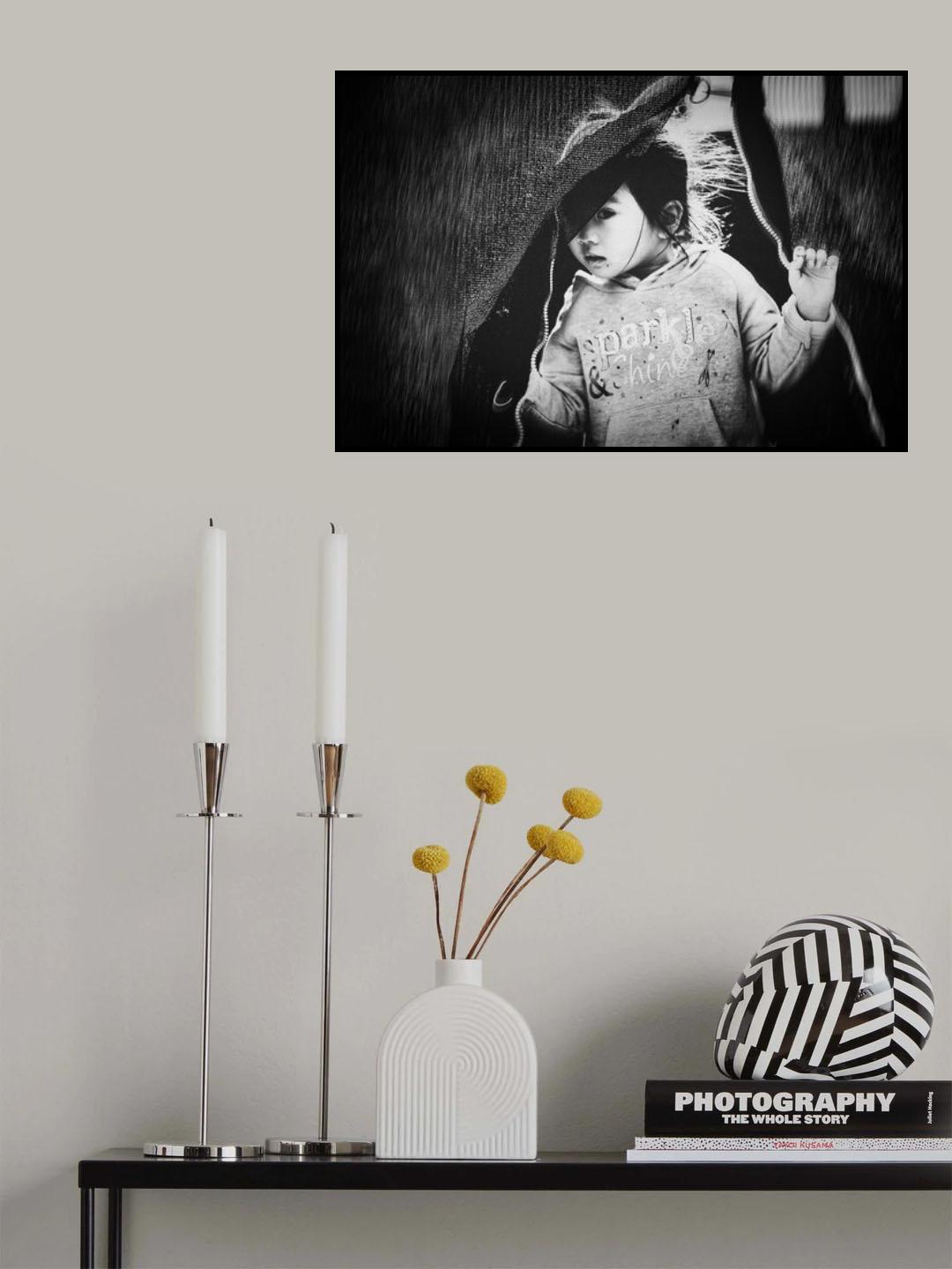 Hide and See... Poster och Canvastavla