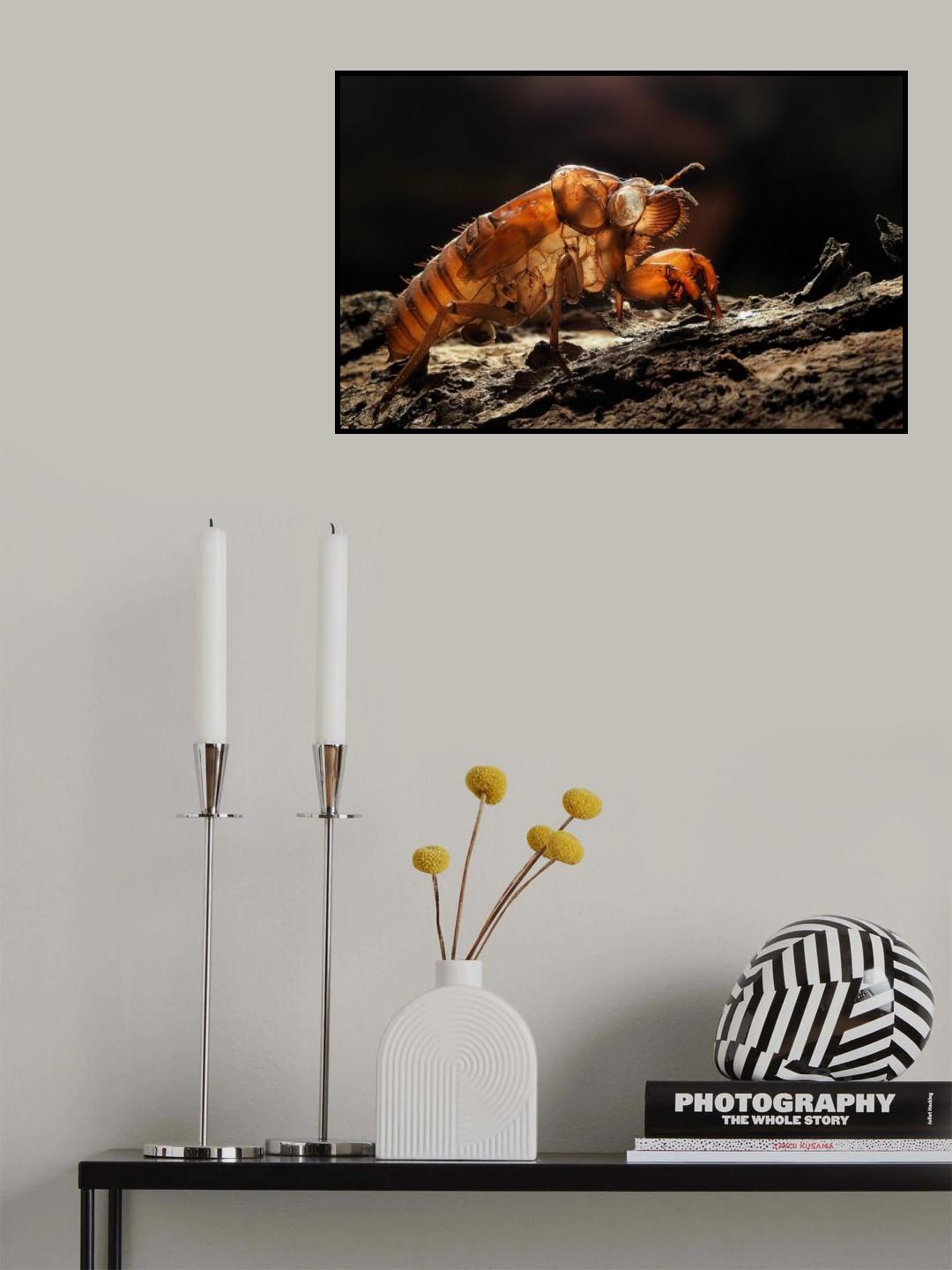 Creepy crawler Poster och Canvastavla