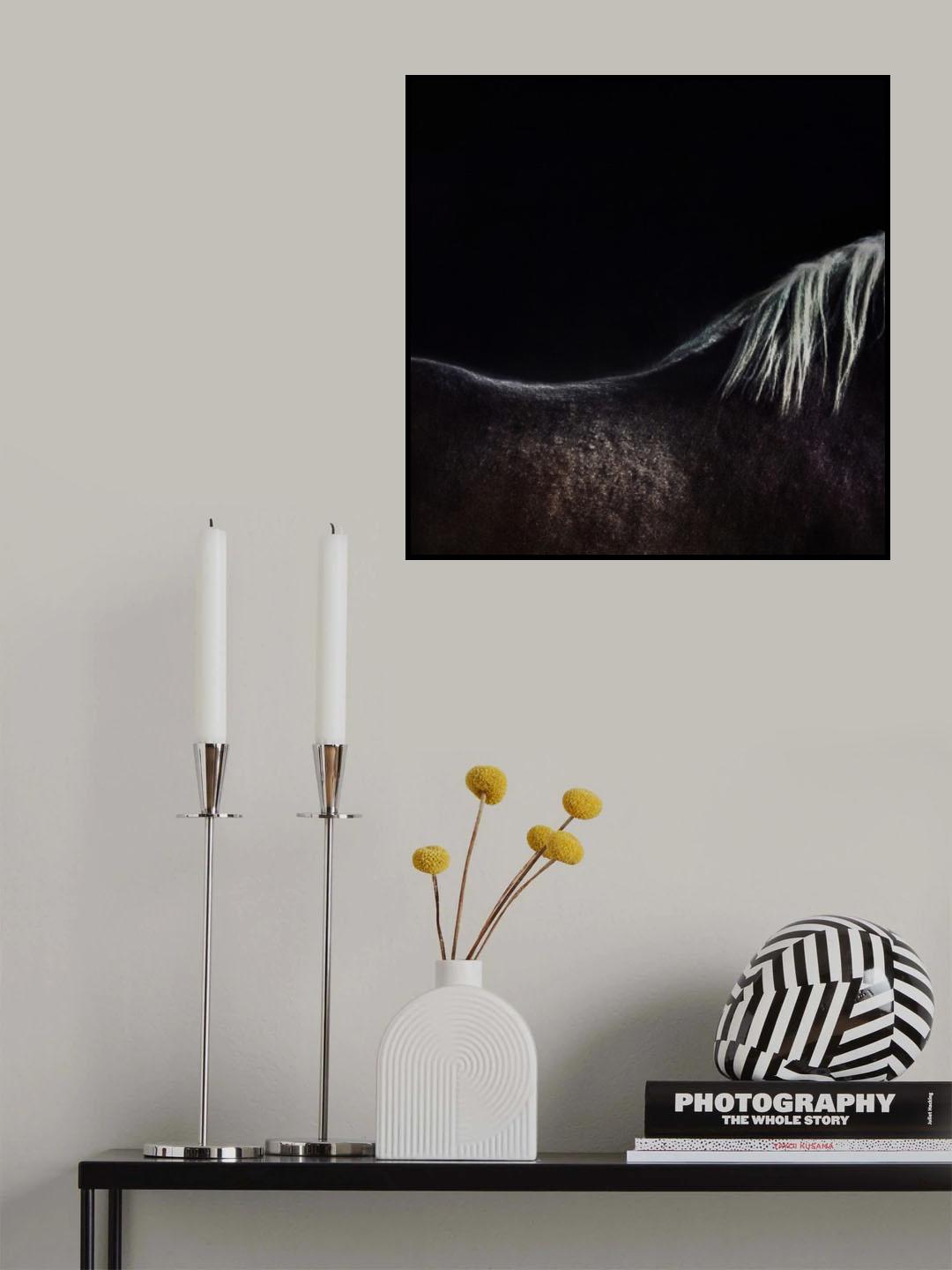 the naked horse Poster och Canvastavla