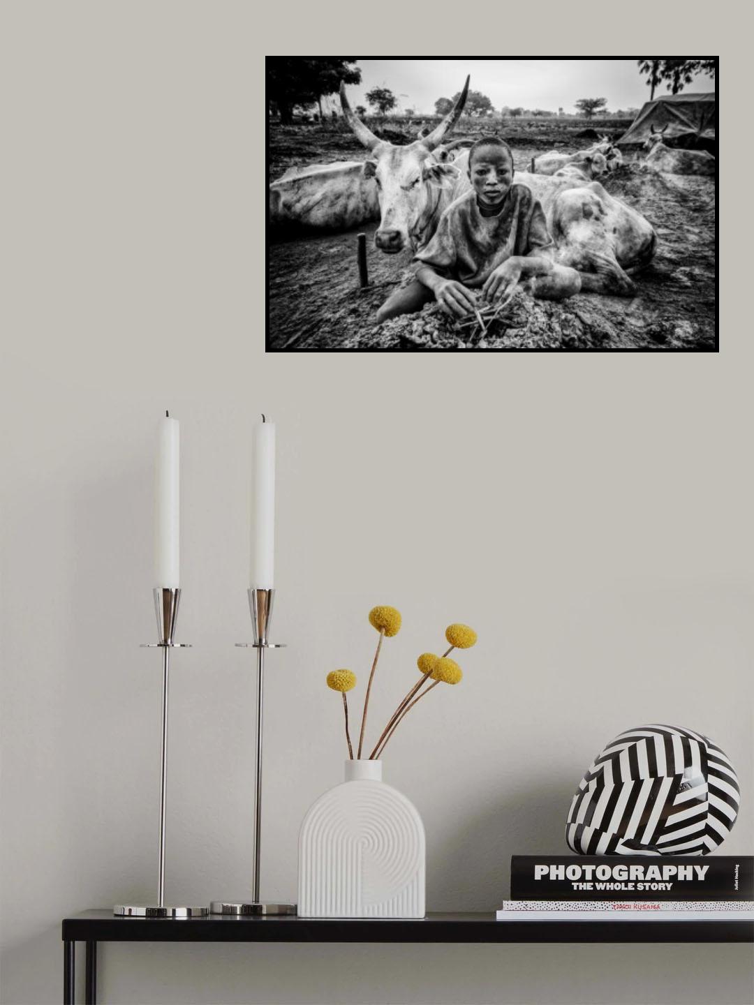 In a Mundari cattle camp. Poster och Canvastavla