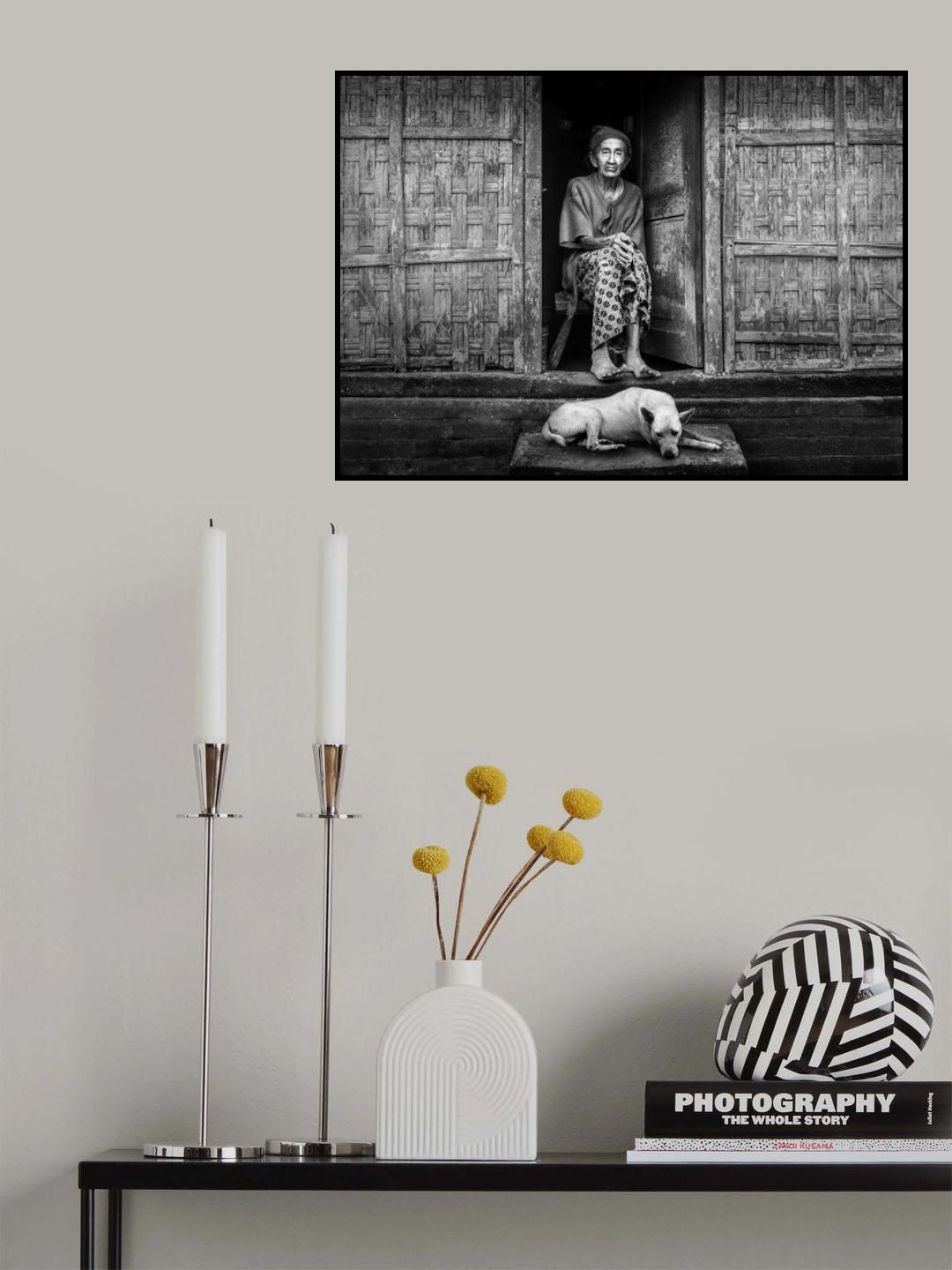 Old lady, her old dog and her old house Poster och Canvastavla