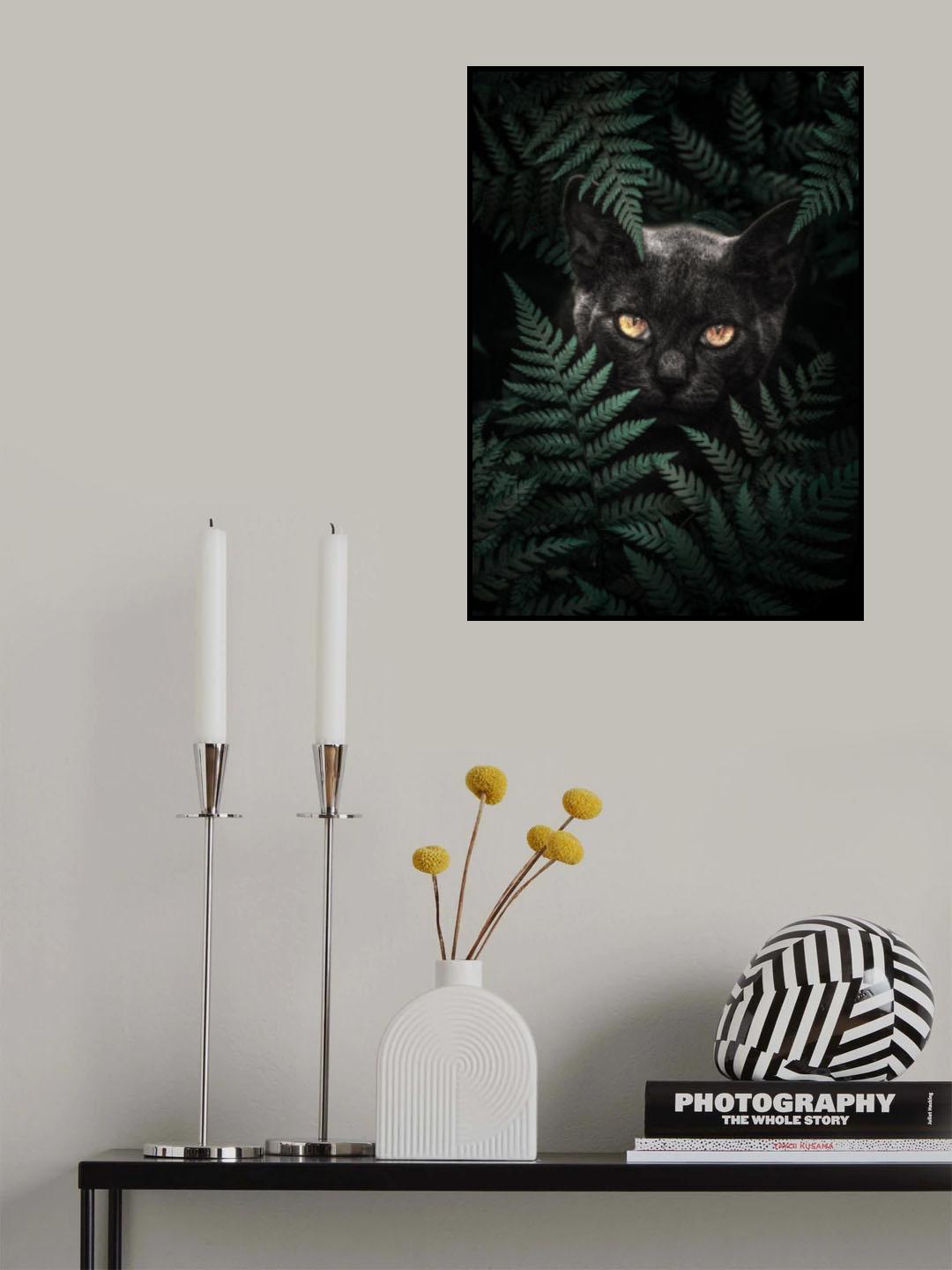 Black Cat In Ferns Poster och Canvastavla