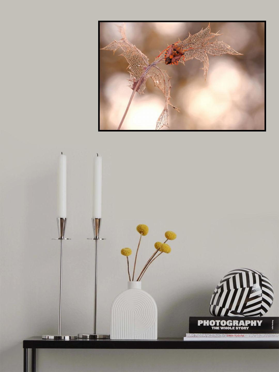 Lacemaker... Poster och Canvastavla