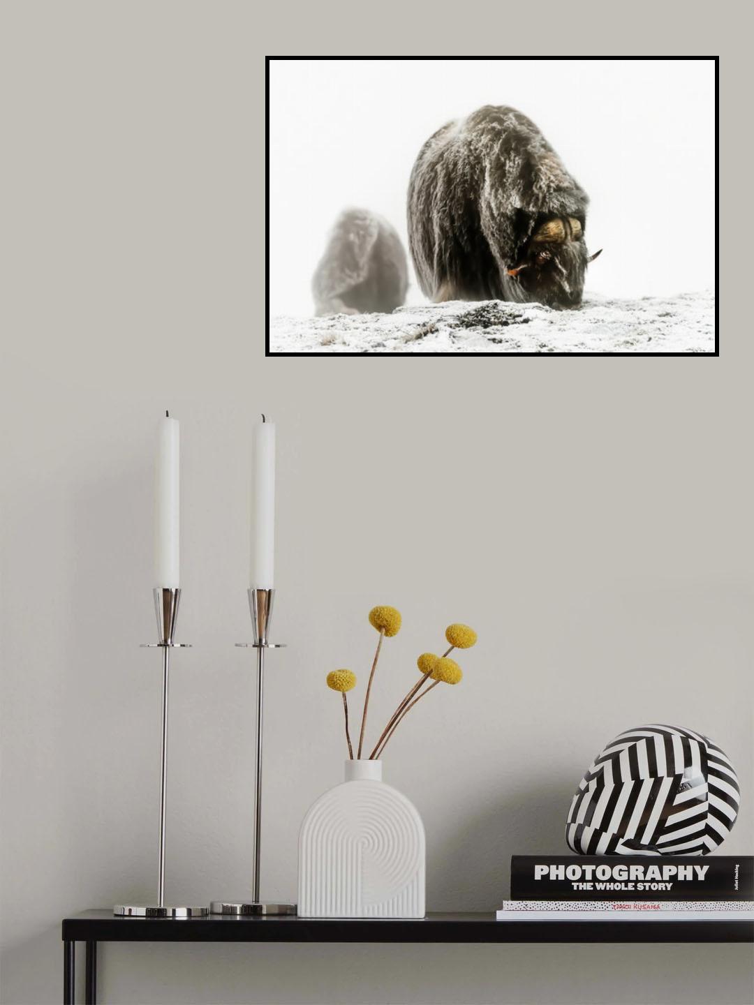 Between the fog and the frost Poster och Canvastavla