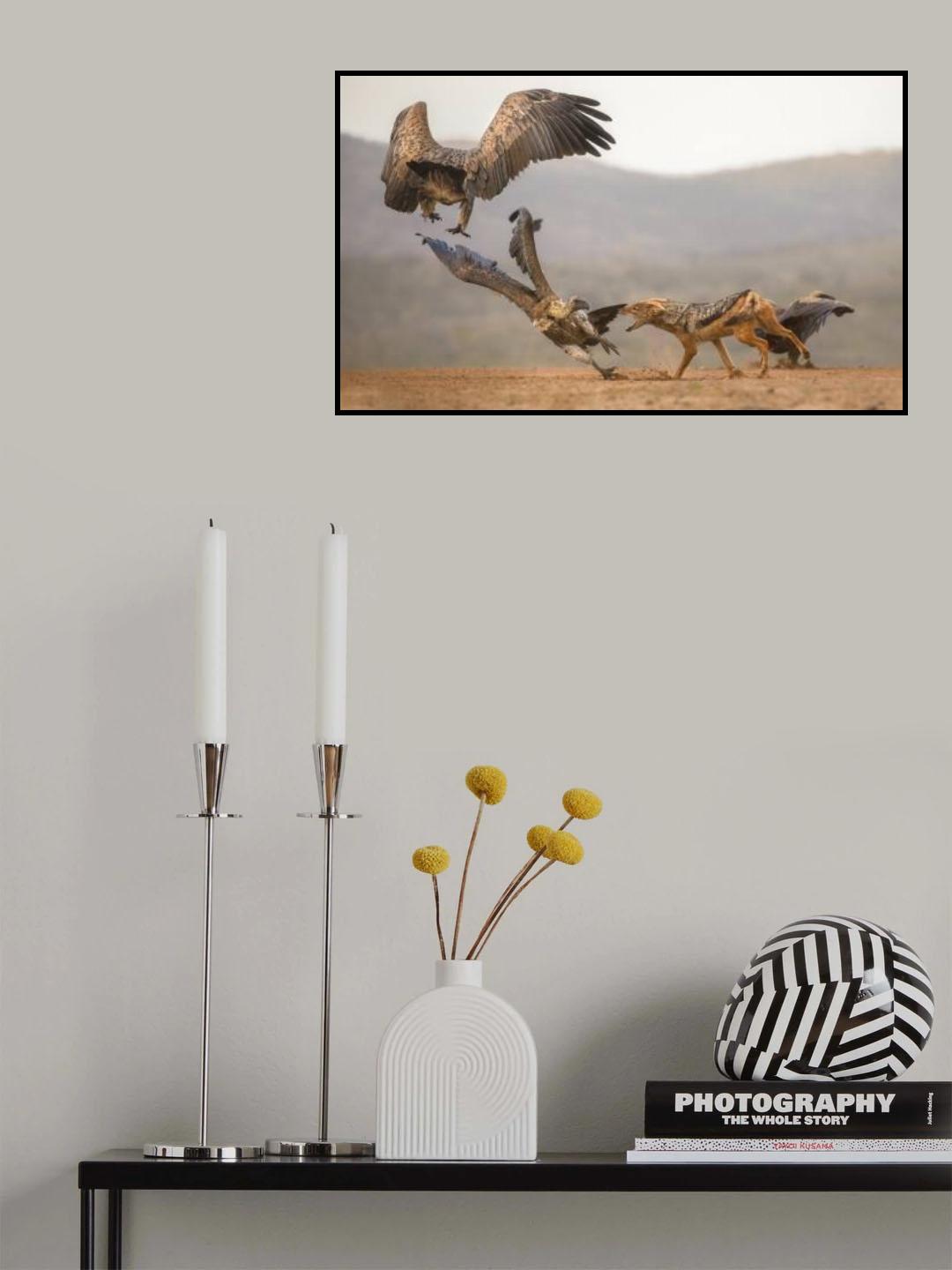 The fight for food... Poster och Canvastavla