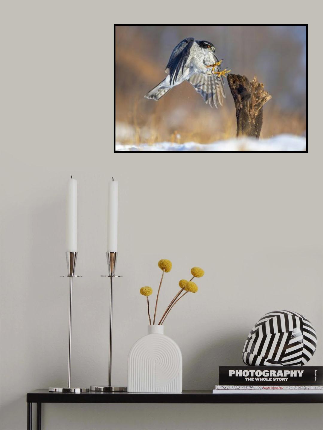 Landing Poster och Canvastavla