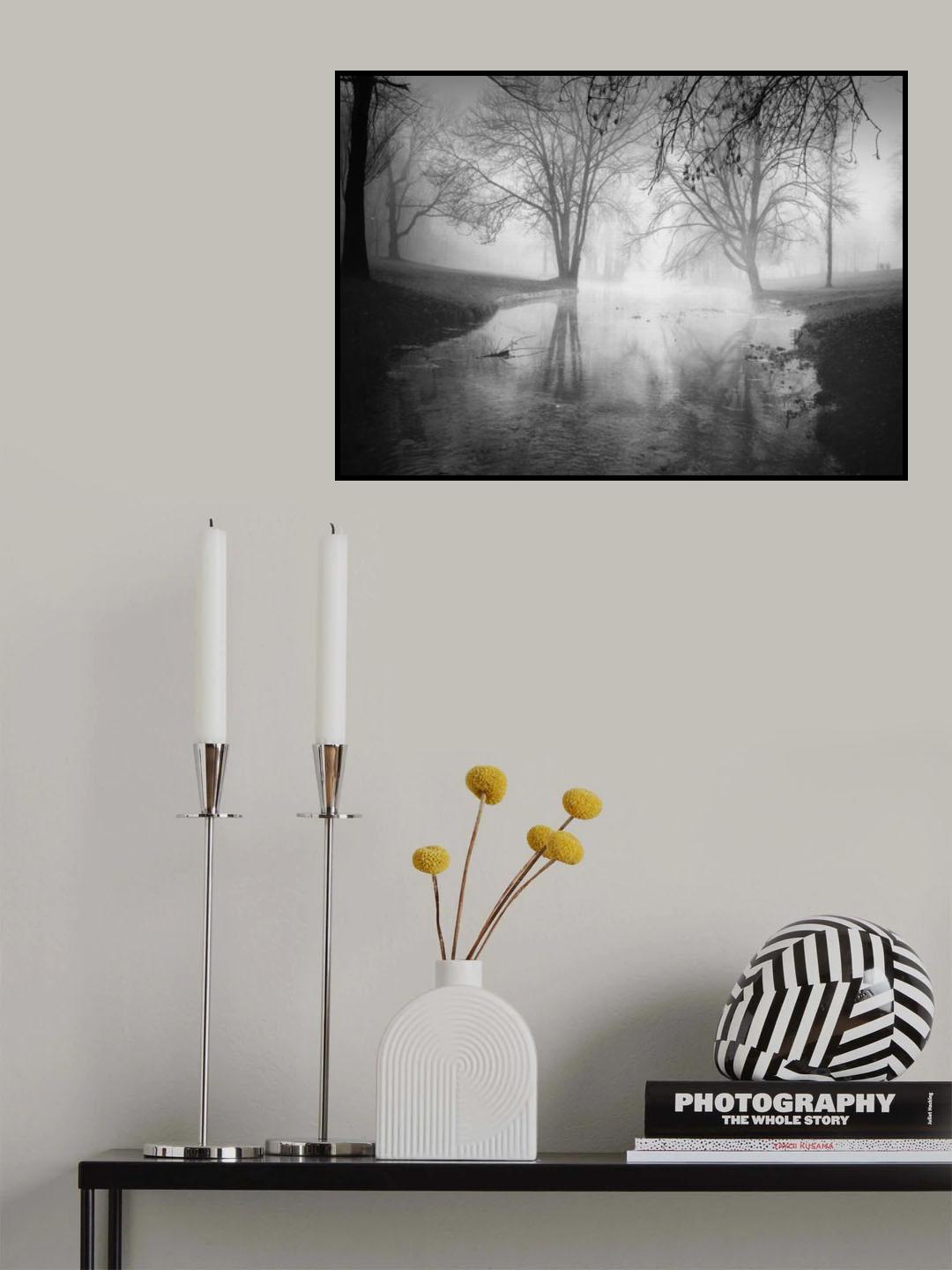 foggy morning2 Poster och Canvastavla