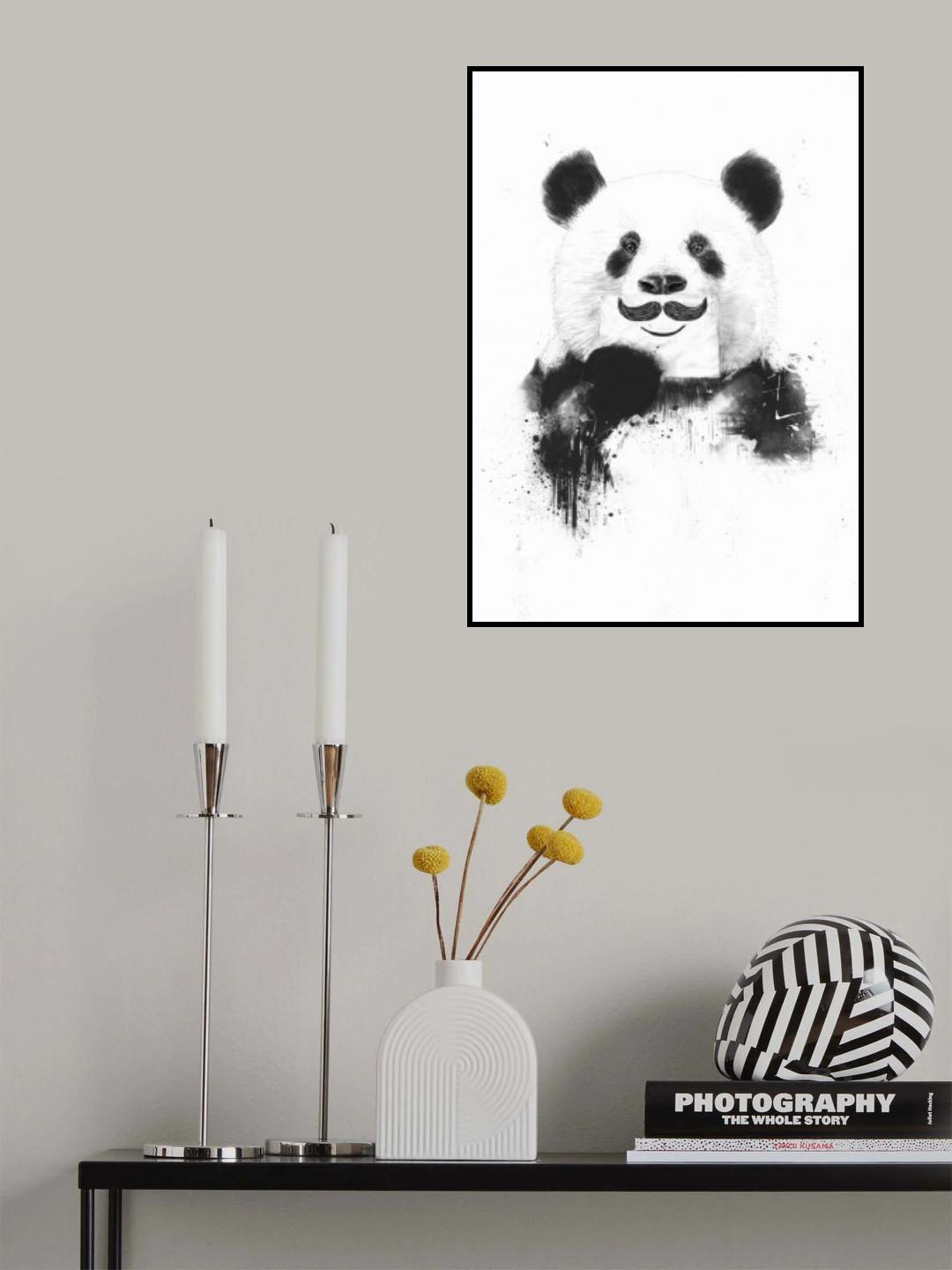 Funny panda Poster och Canvastavla