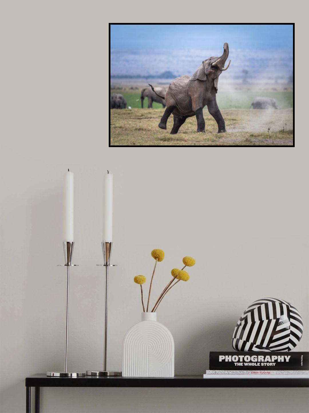 Dancing elephant Poster och Canvastavla