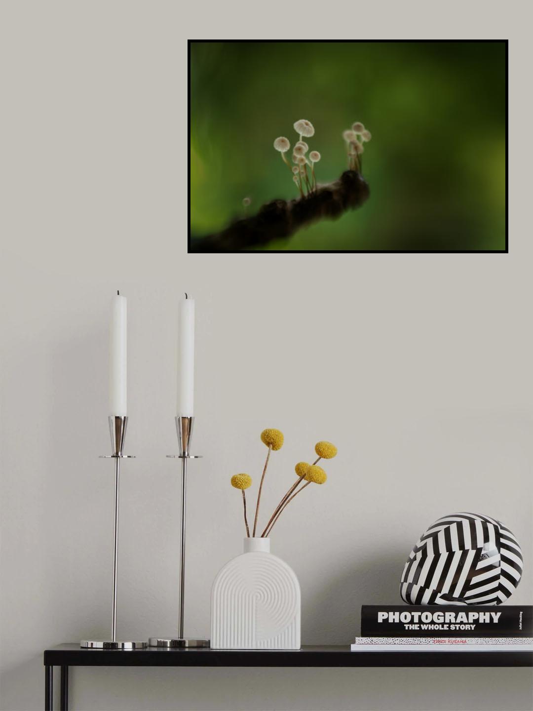Mushroom wheel Poster och Canvastavla