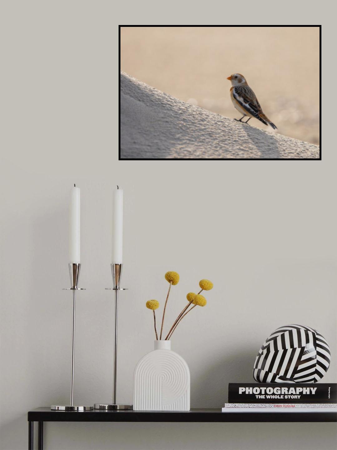 Little bird in the sand dunes. Poster och Canvastavla