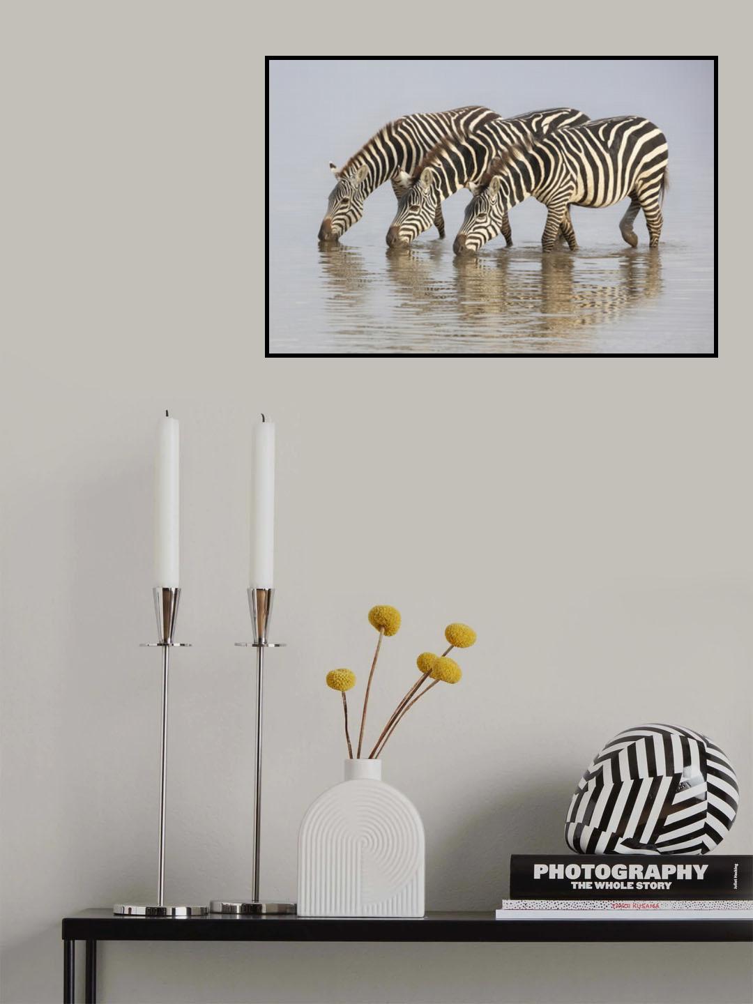 Three of a Kind Poster och Canvastavla