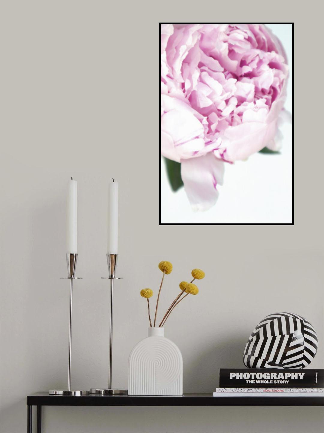 Subdued peony VII Poster och Canvastavla