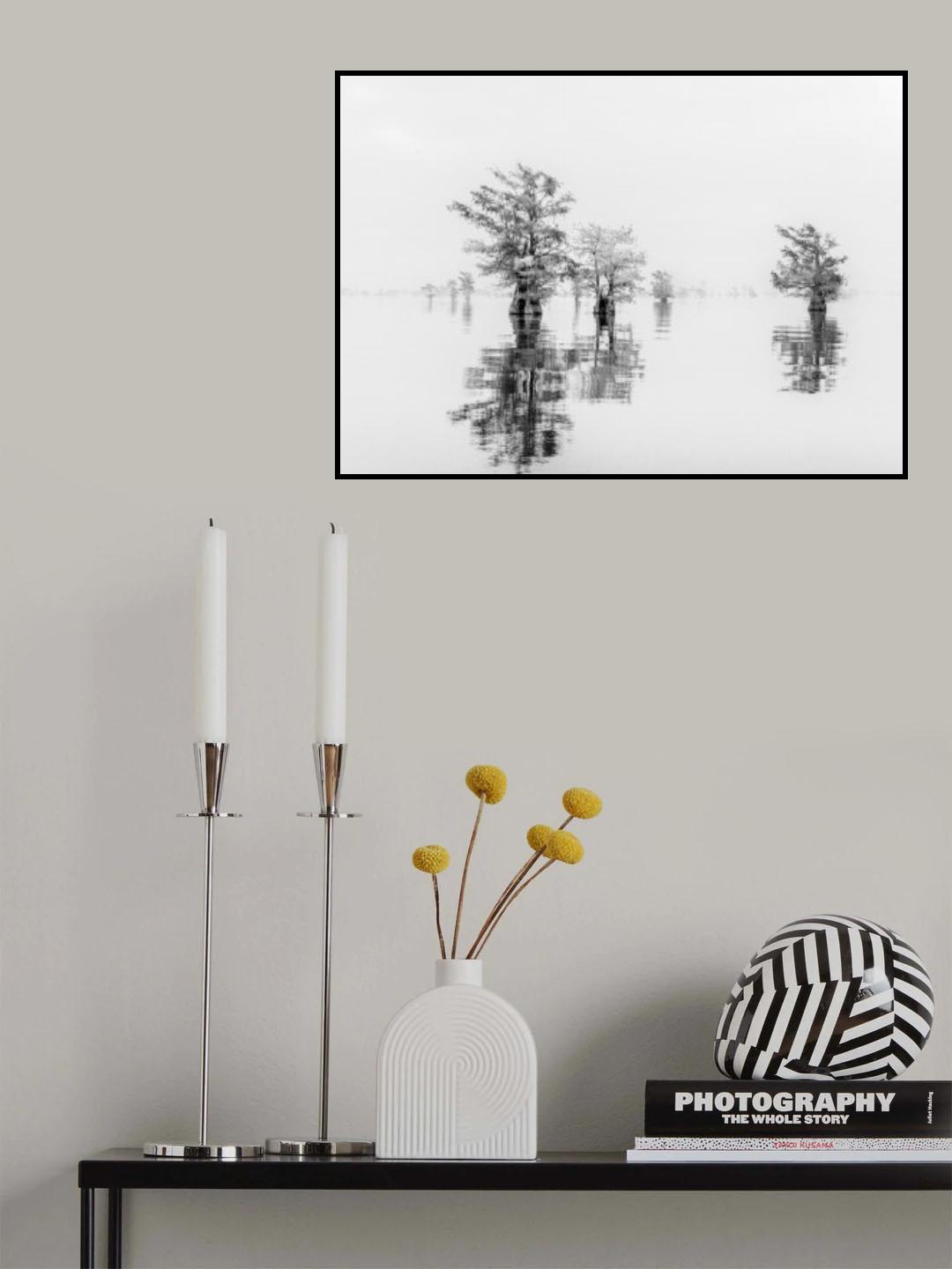 Serene Poster och Canvastavla