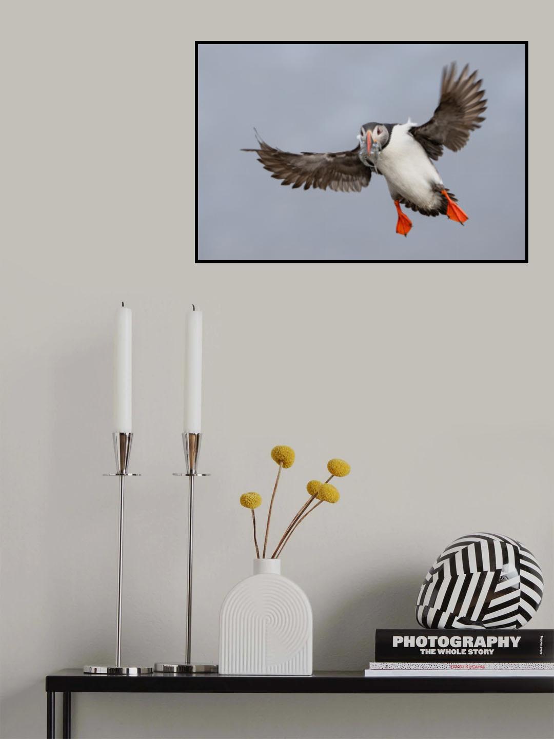 Master Fisherman Poster och Canvastavla