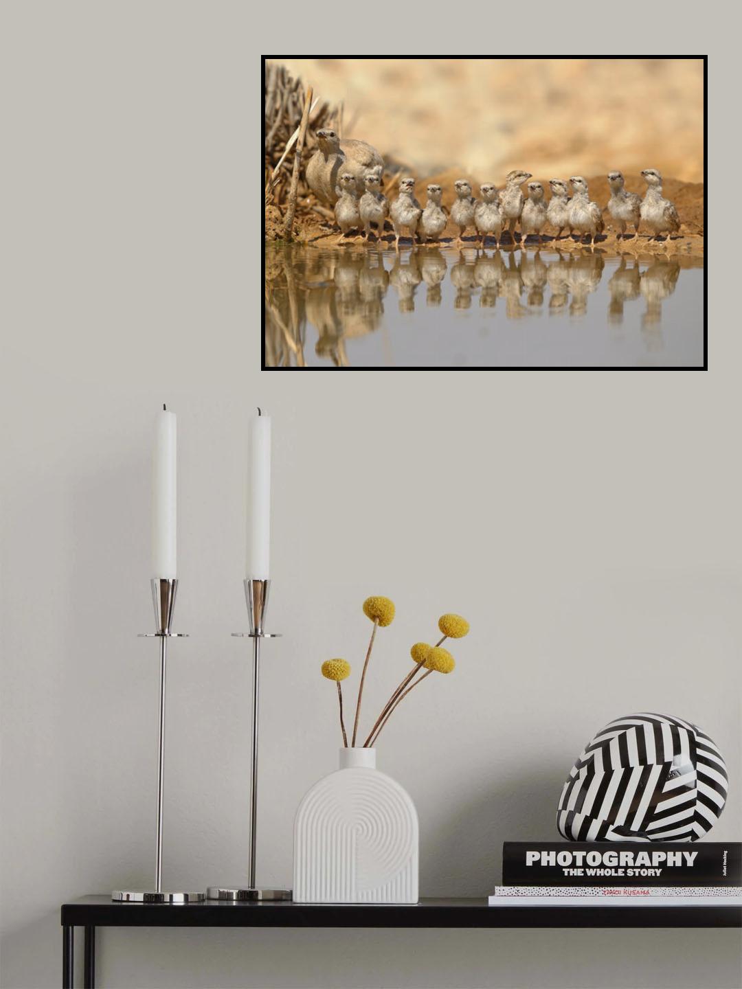 Partridge Family Poster och Canvastavla