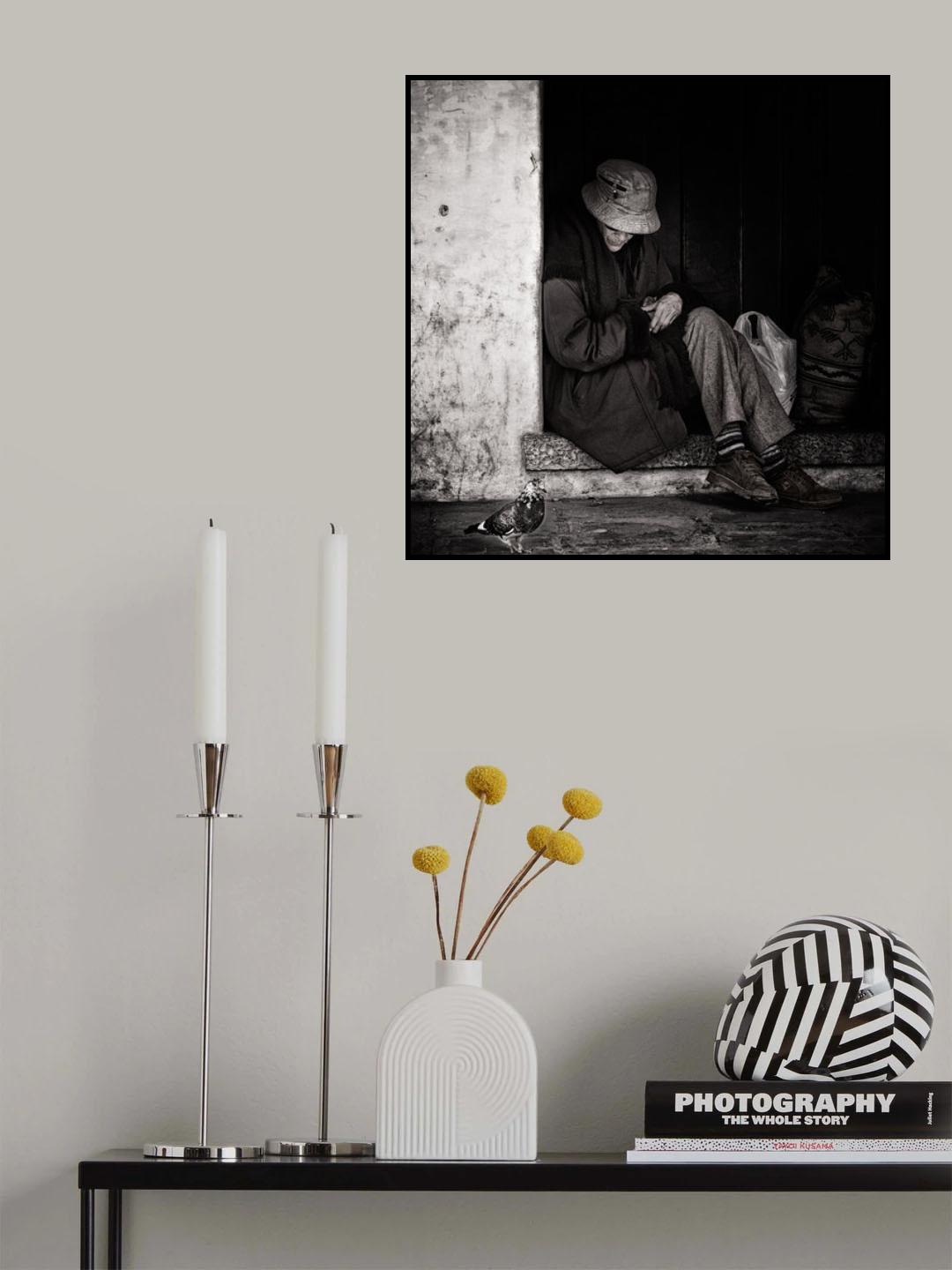 woman with pigeon Poster och Canvastavla