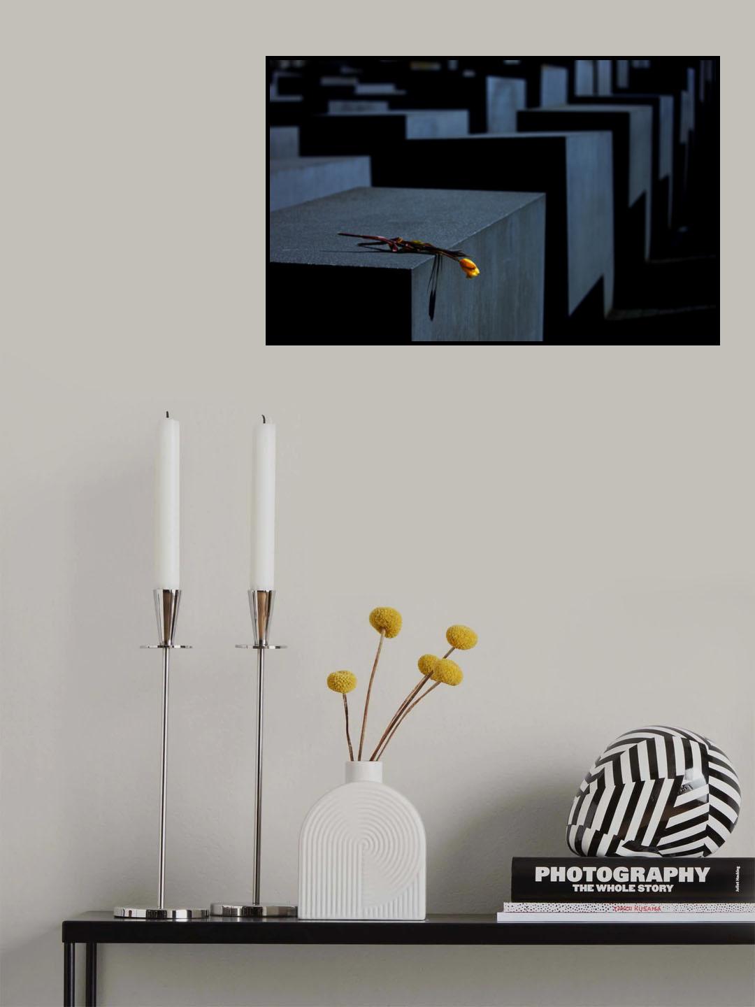 Yellow rose Poster och Canvastavla