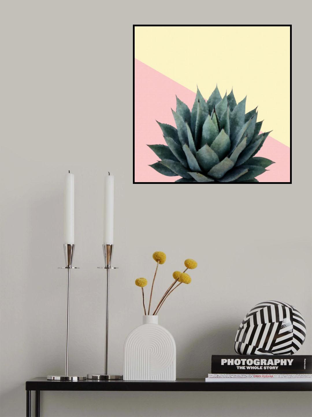 Agave 04 Poster och Canvastavla